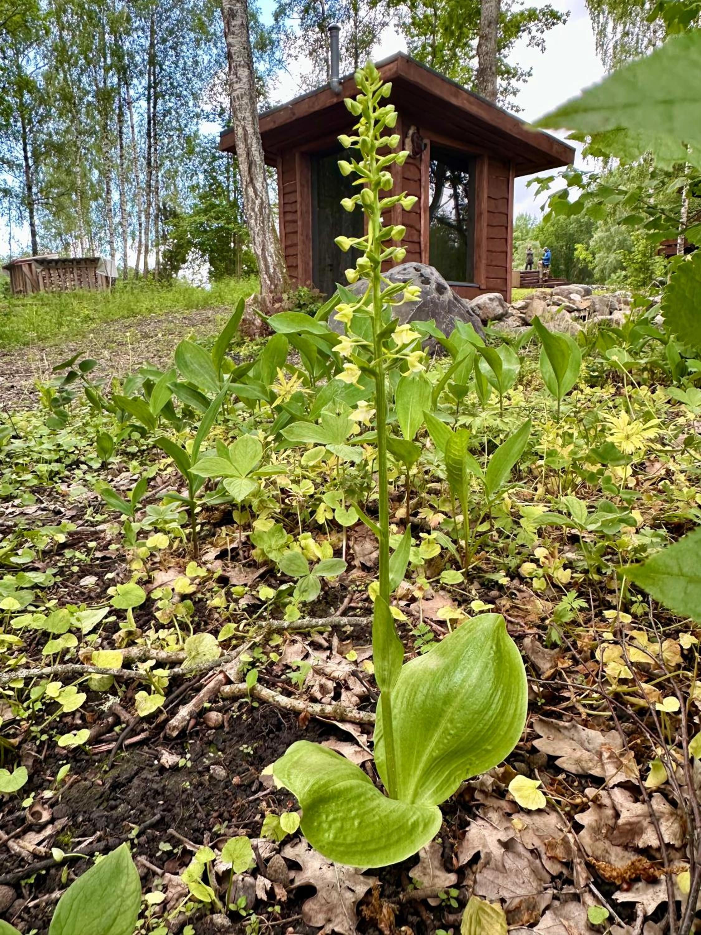 Photo 19