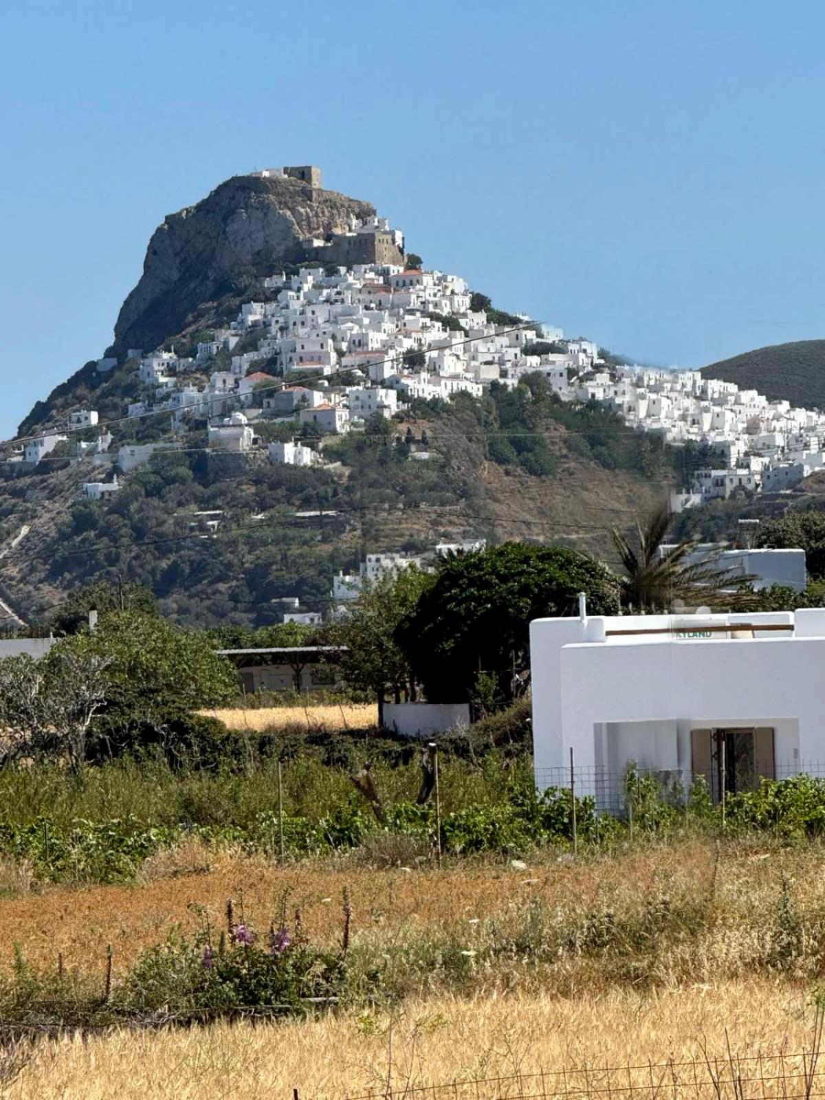 VAYAL SKYROS