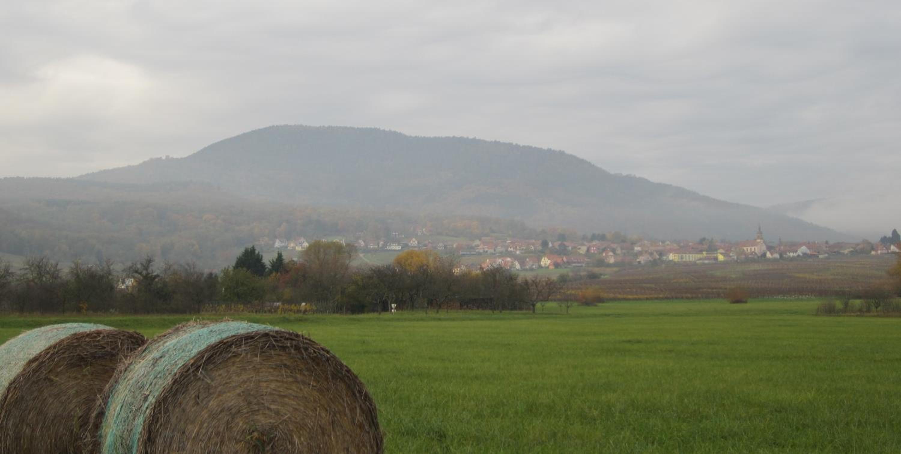 Photo 51