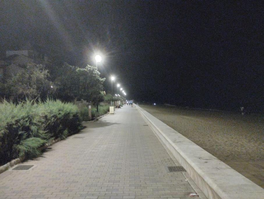 Photo 38