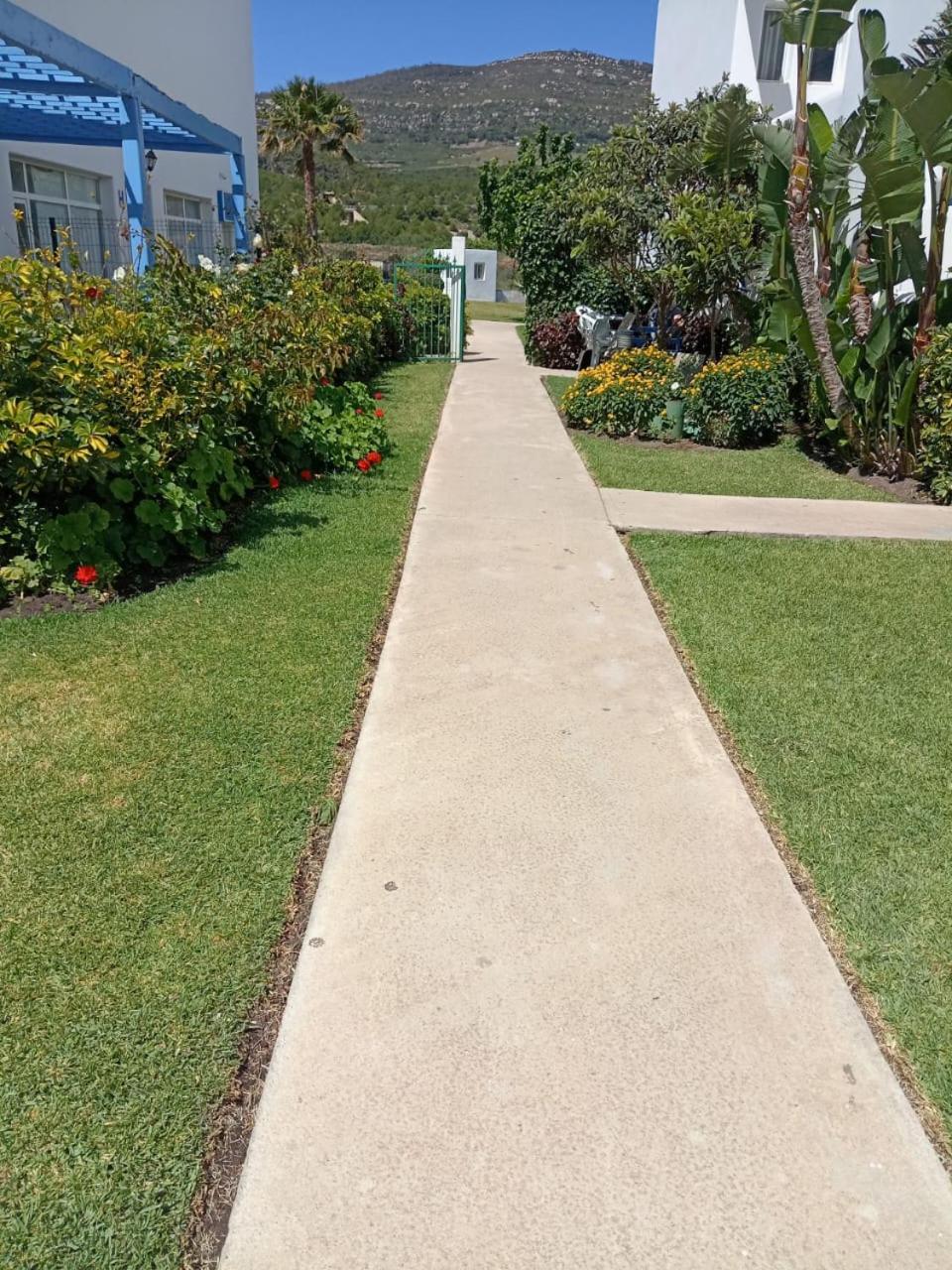 Photo 22