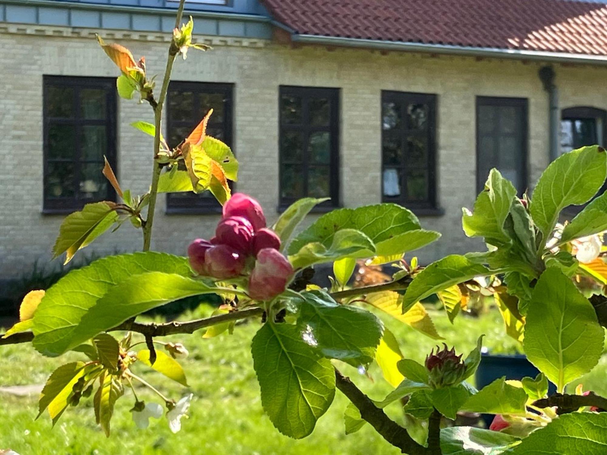 Lassen Hof