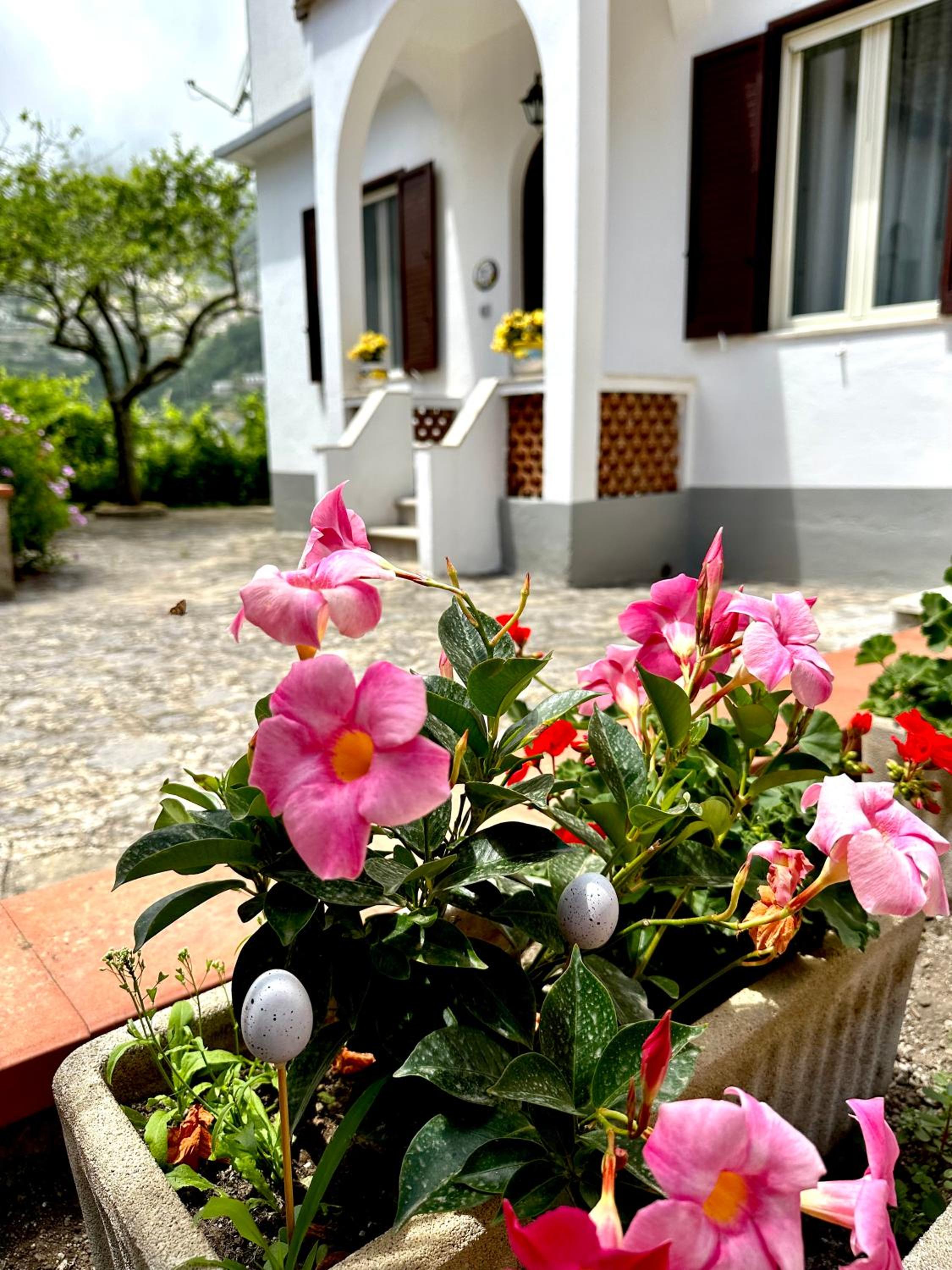 Simona House view 2