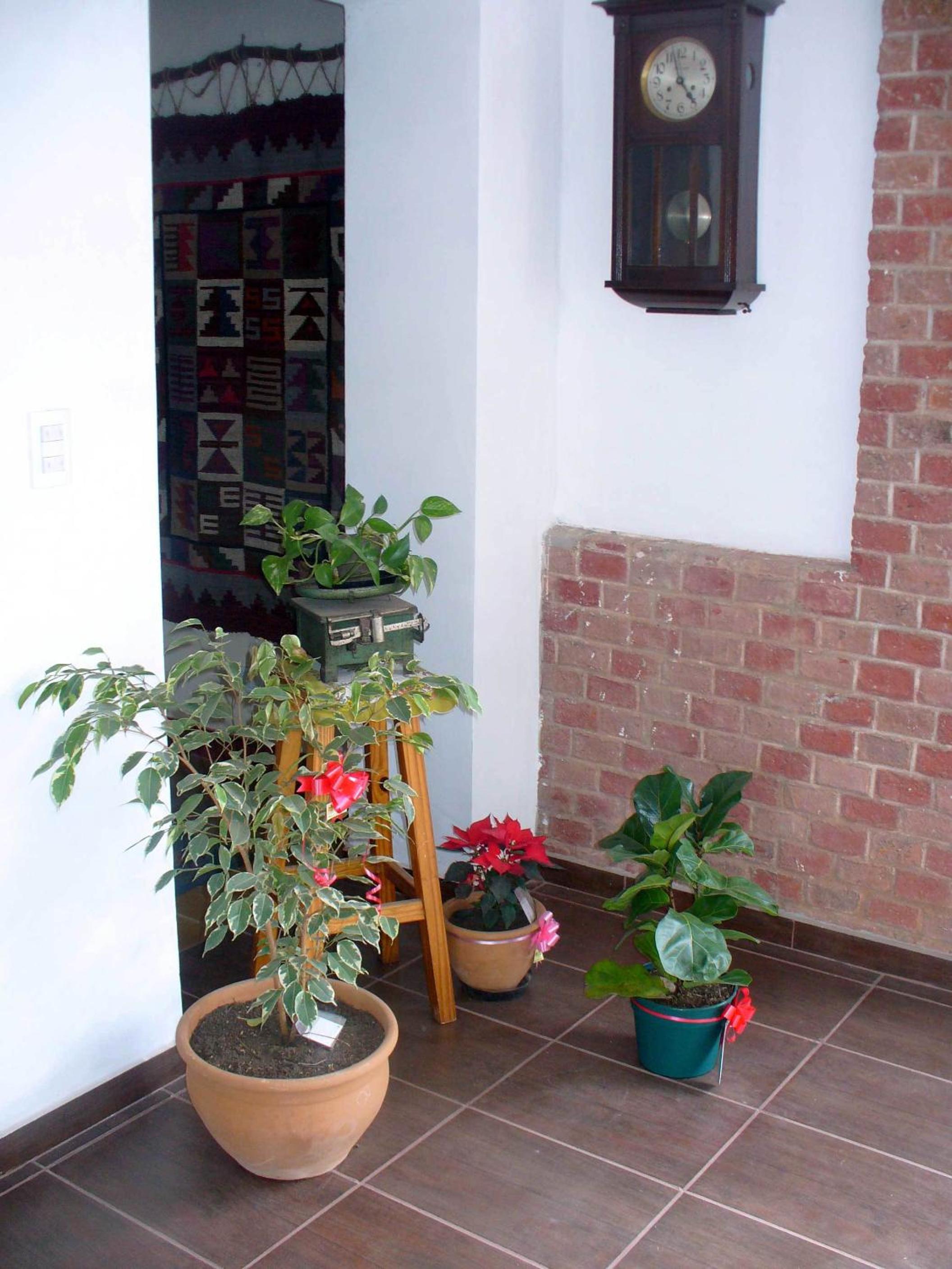 Hosteria Nuevo Sol