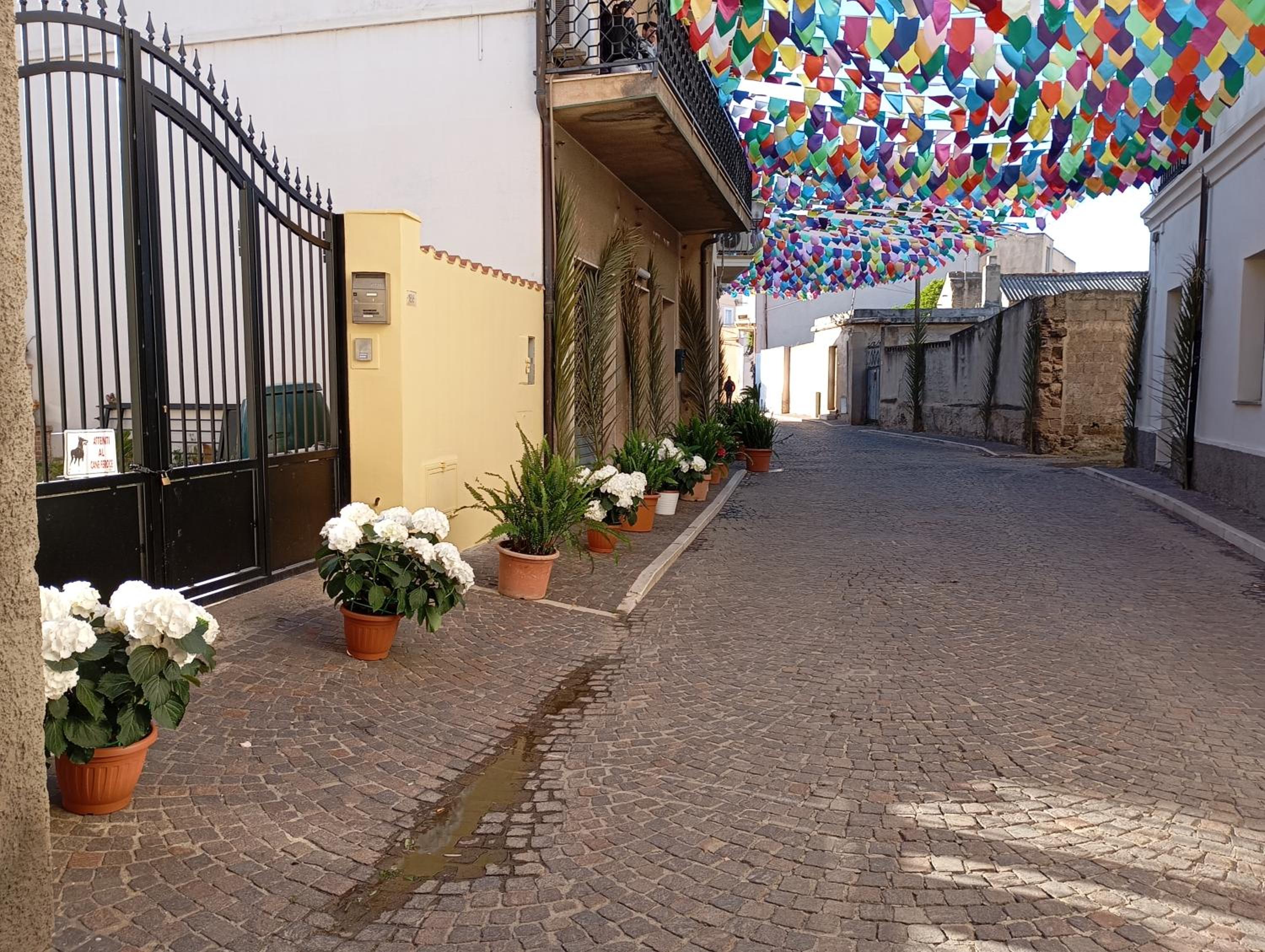 Appartamento Raggio di Sole view 4