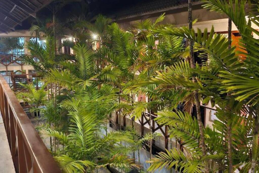 Eco Paradise Cumbuco pé na areia 116