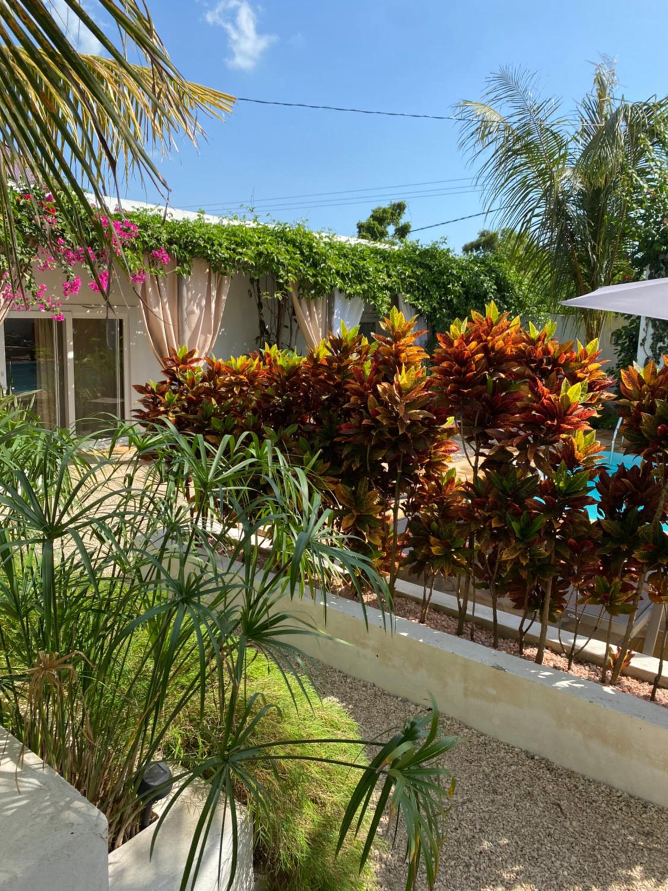 Cactus lodge Zanzibar