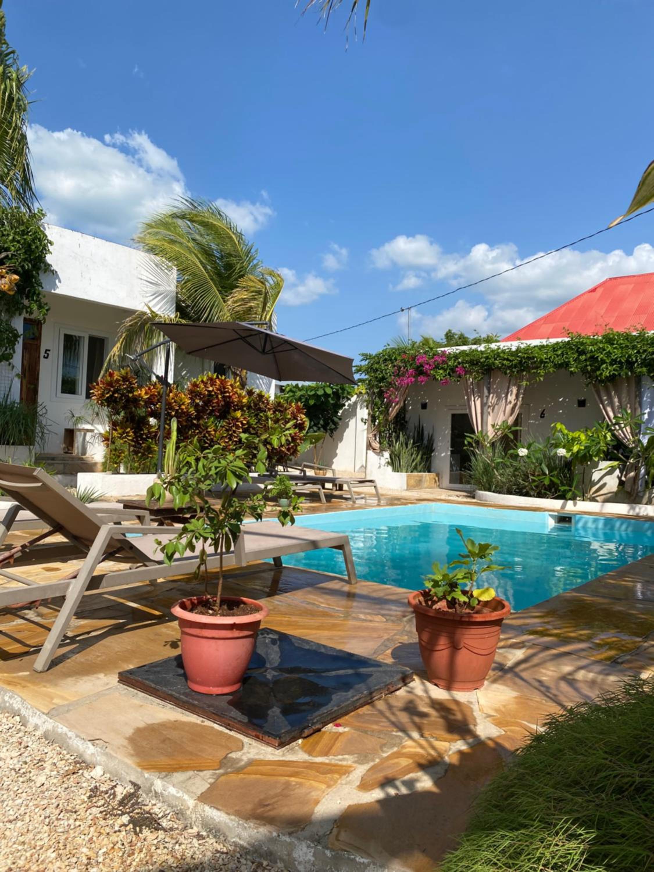 Cactus lodge Zanzibar