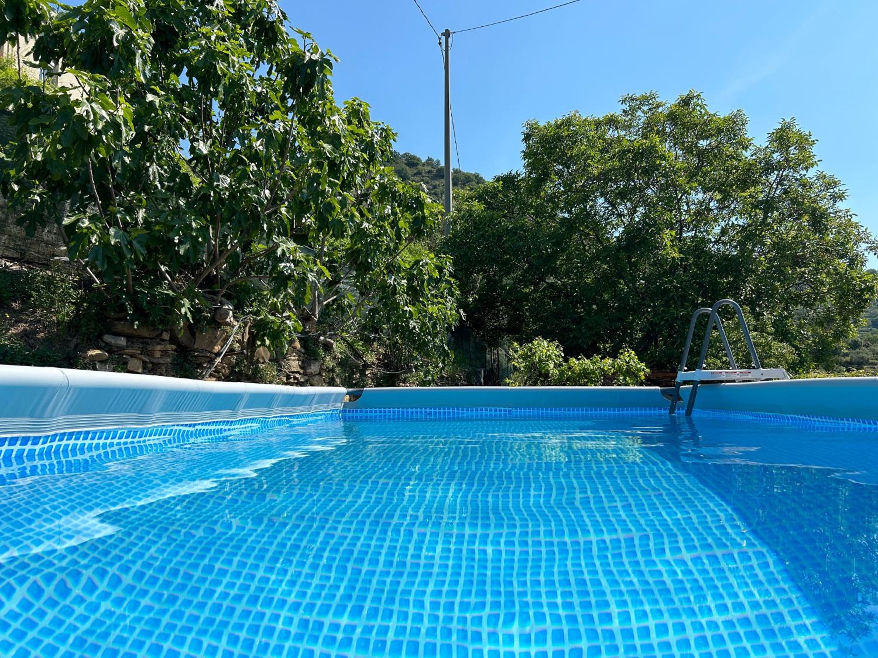La Casa negli Ulivi, con piscina view 2