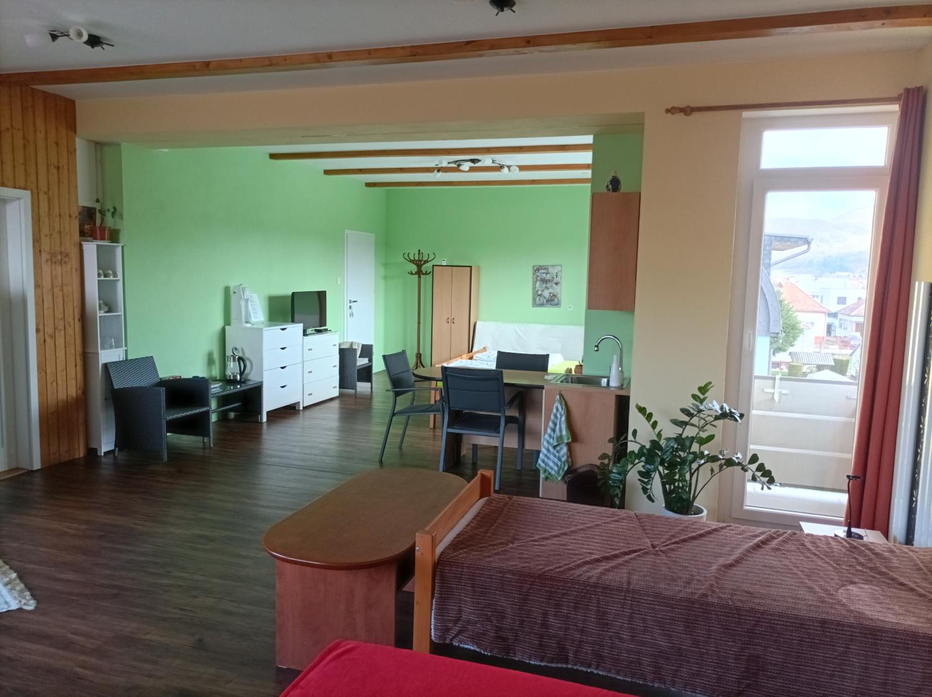 Apartmán ANSAT Opatovská 20 view 5