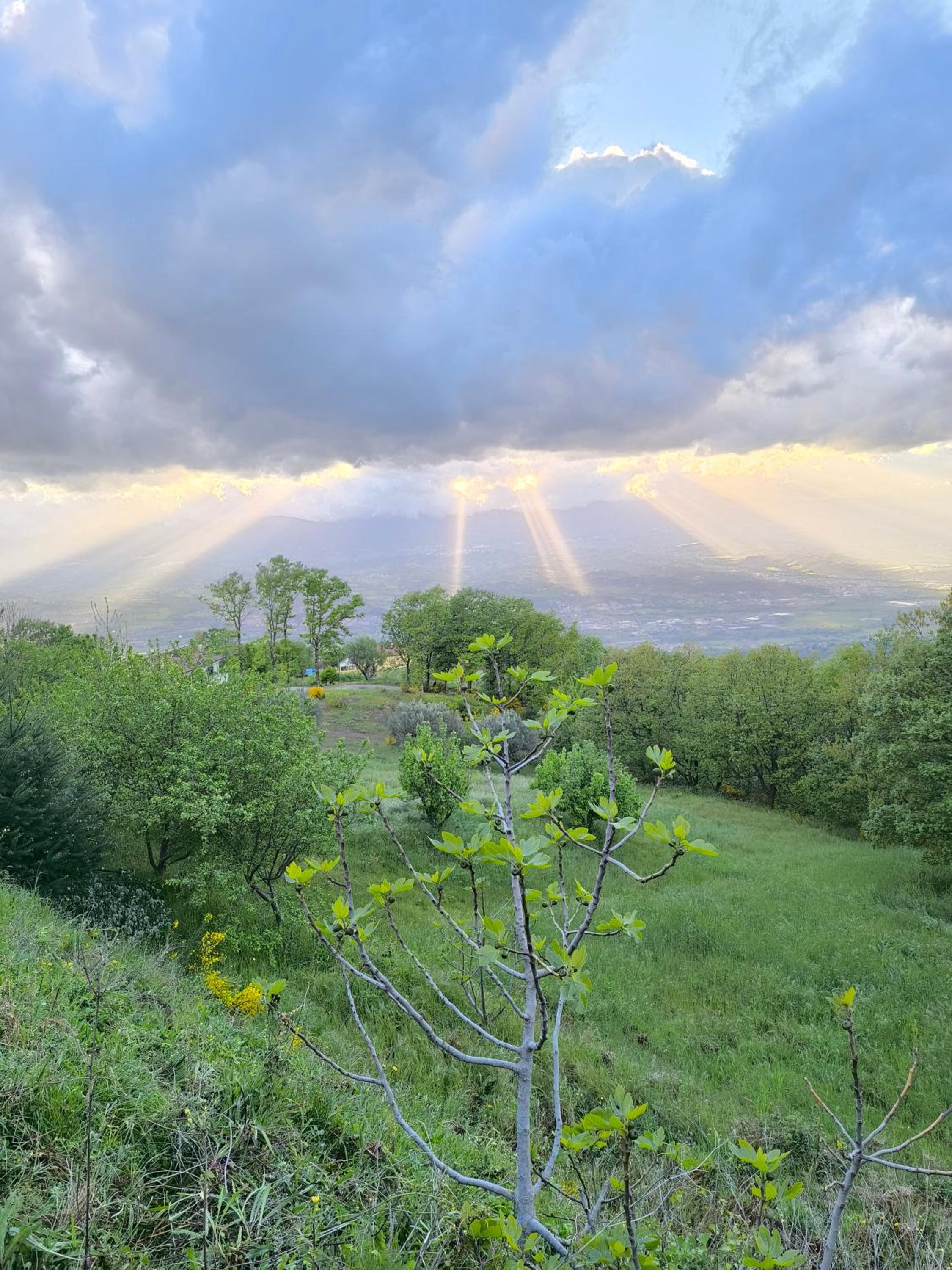 Casa Bella Vista