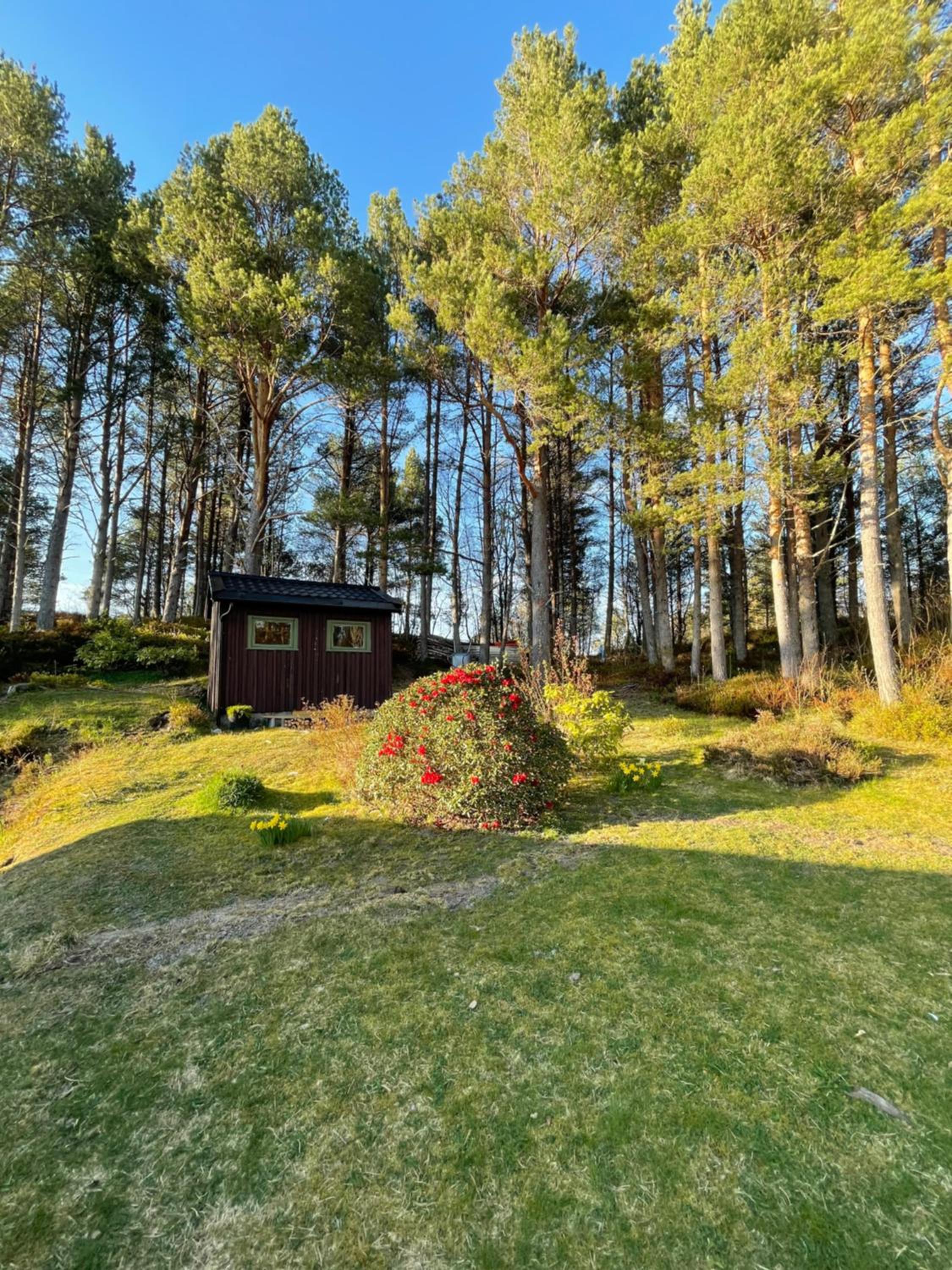 A cottage by the forest with a sea view !