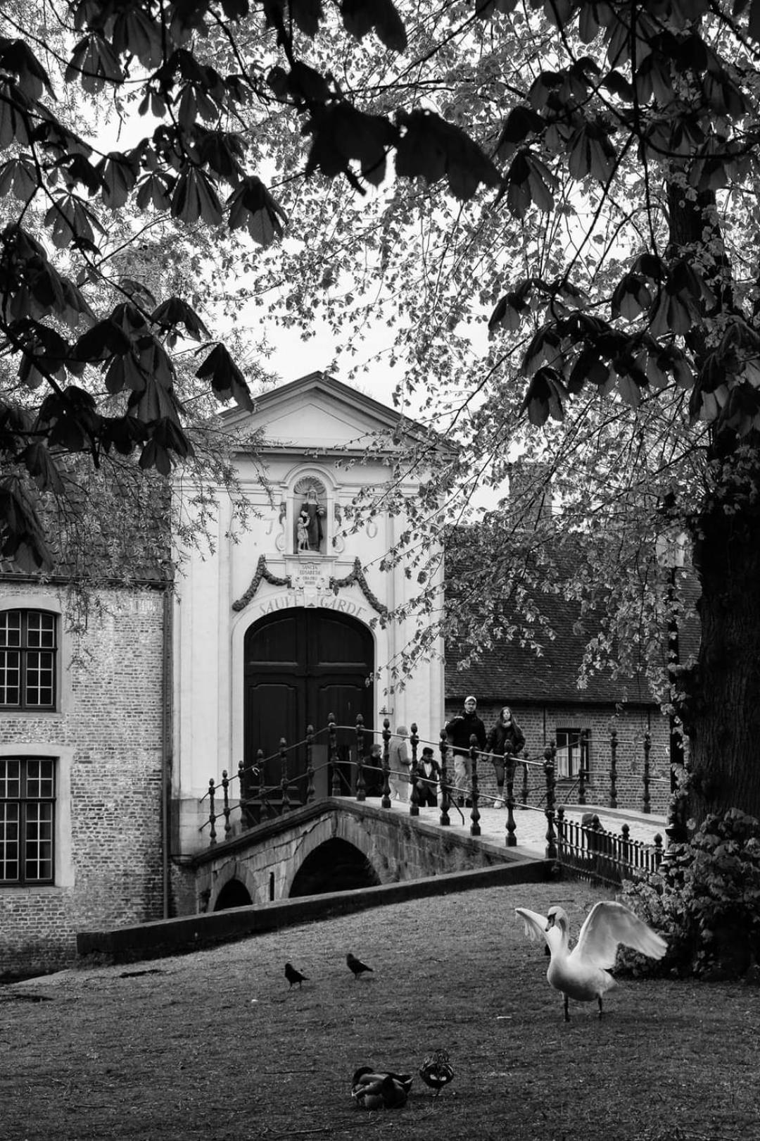 Bruges Vacations - Bruges in Lace - Property Image 6