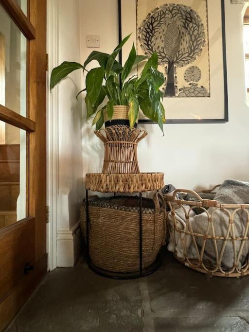 Cottage-outdoor bar-fire pit-PETS NEC view 4