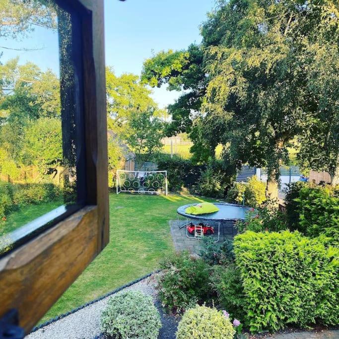 Cottage-outdoor bar-fire pit-PETS NEC view 5
