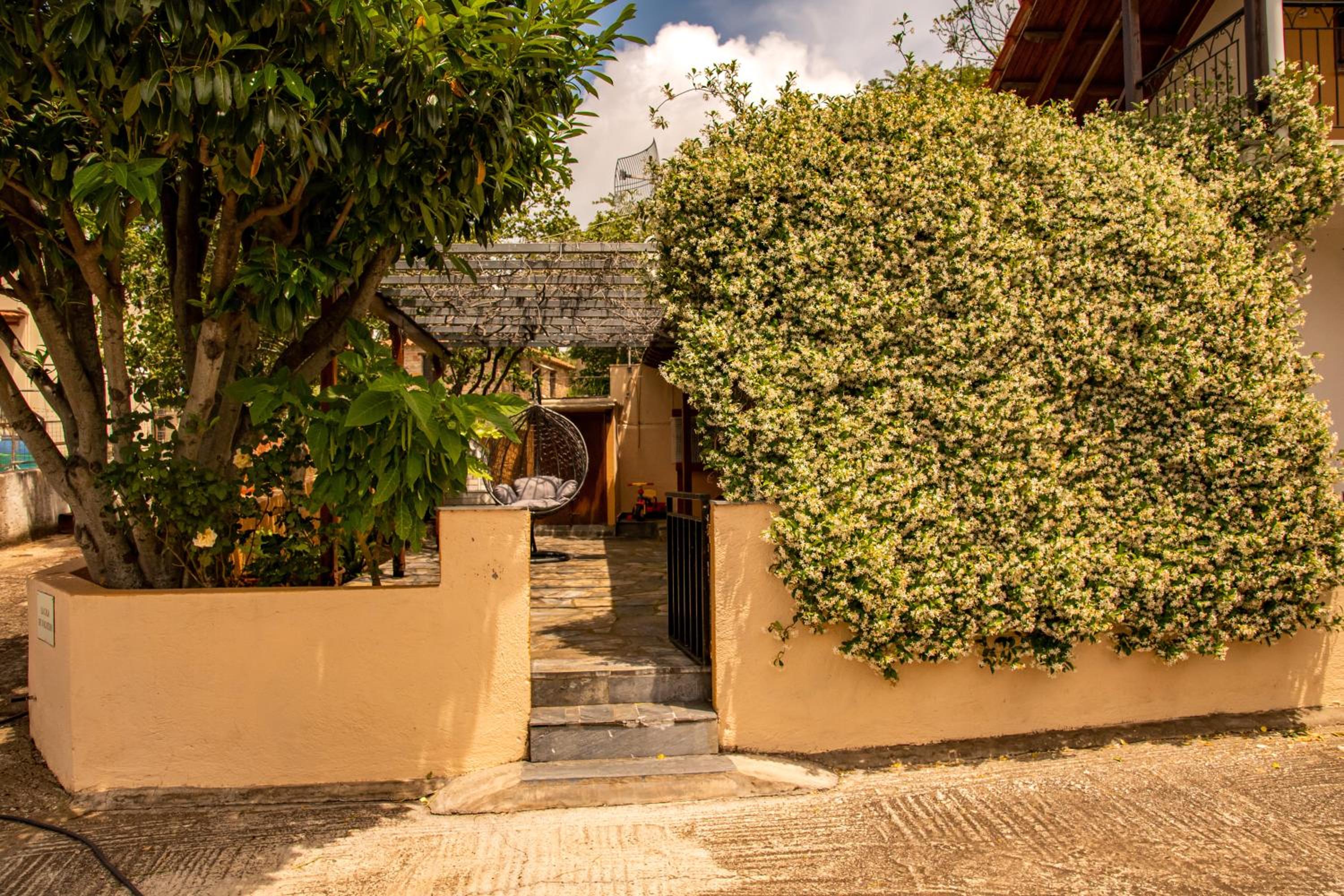 La Casa De Vacation photo 2
