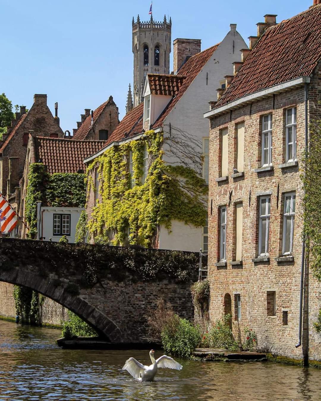 Bruges Vacations - Bruges in Lace - Property Image 36