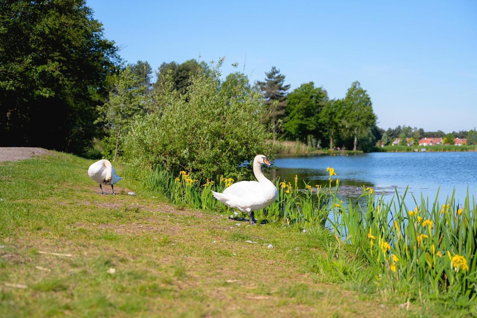 Glamping de Schatberg