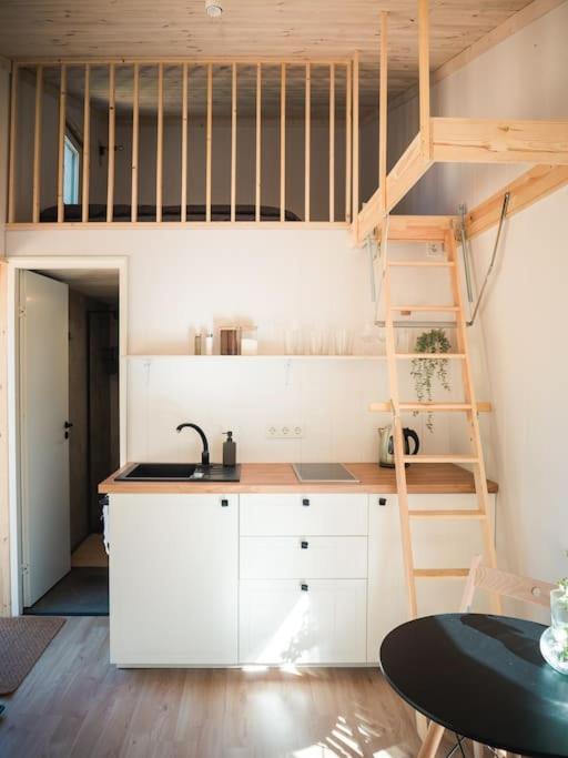 Paluküla tiny house Kadaka