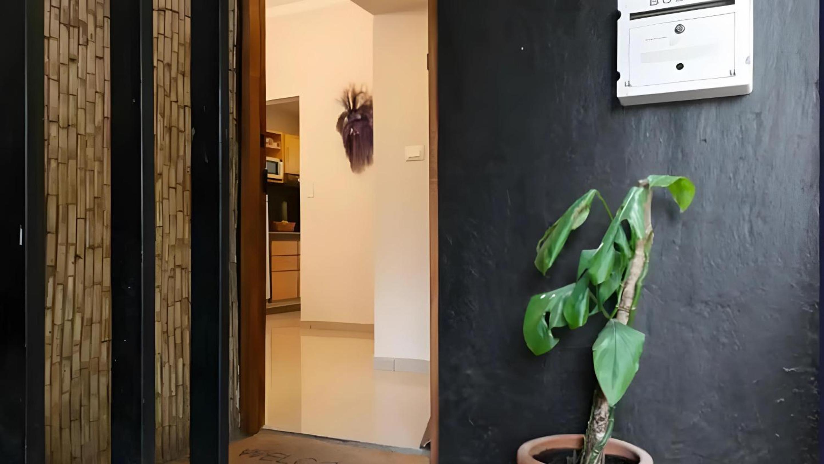 Tranquil, Sunny Condesa 3BR/2BTH photo 5