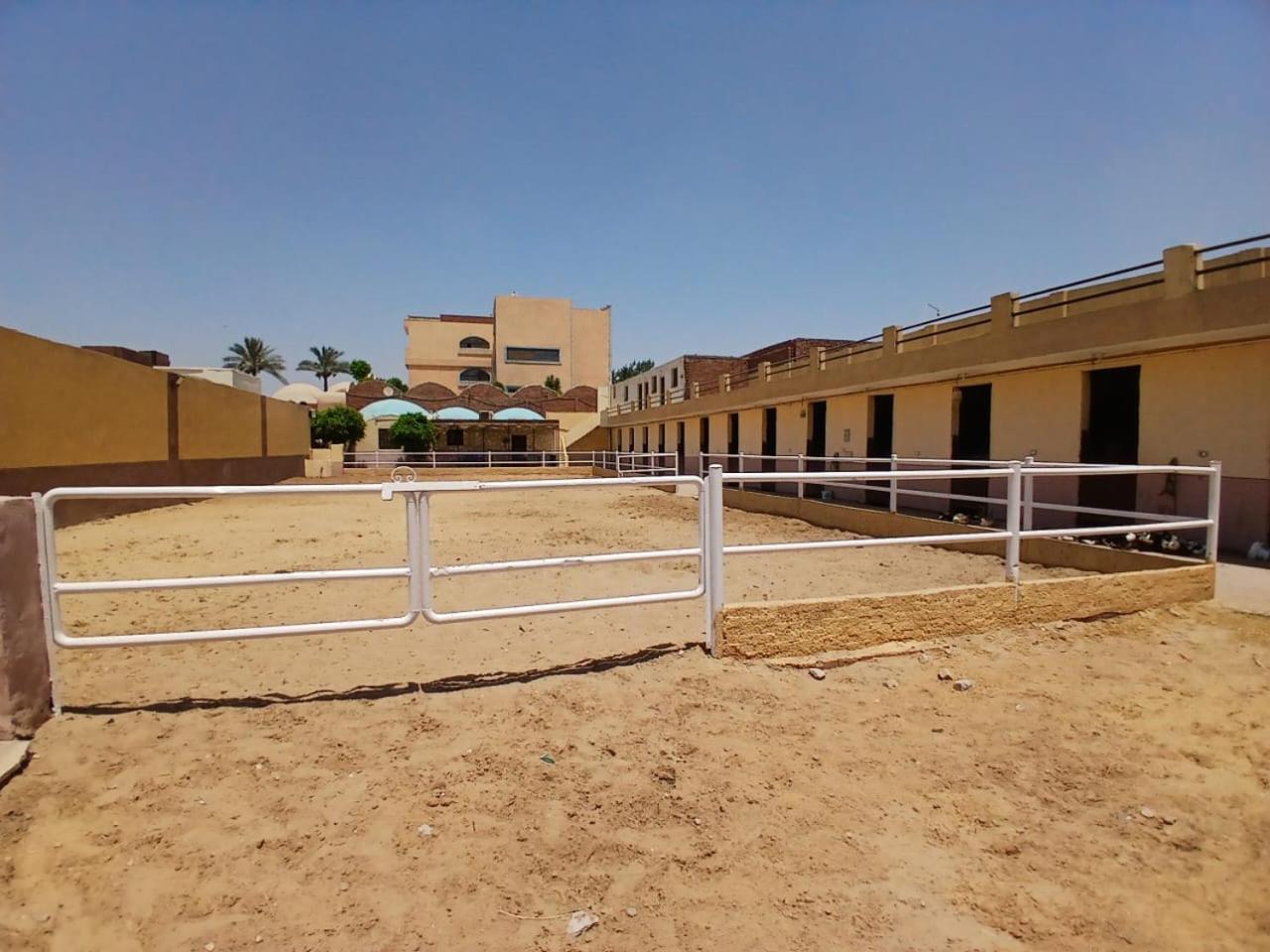 Eastern Oasis Motel & Horse Farm