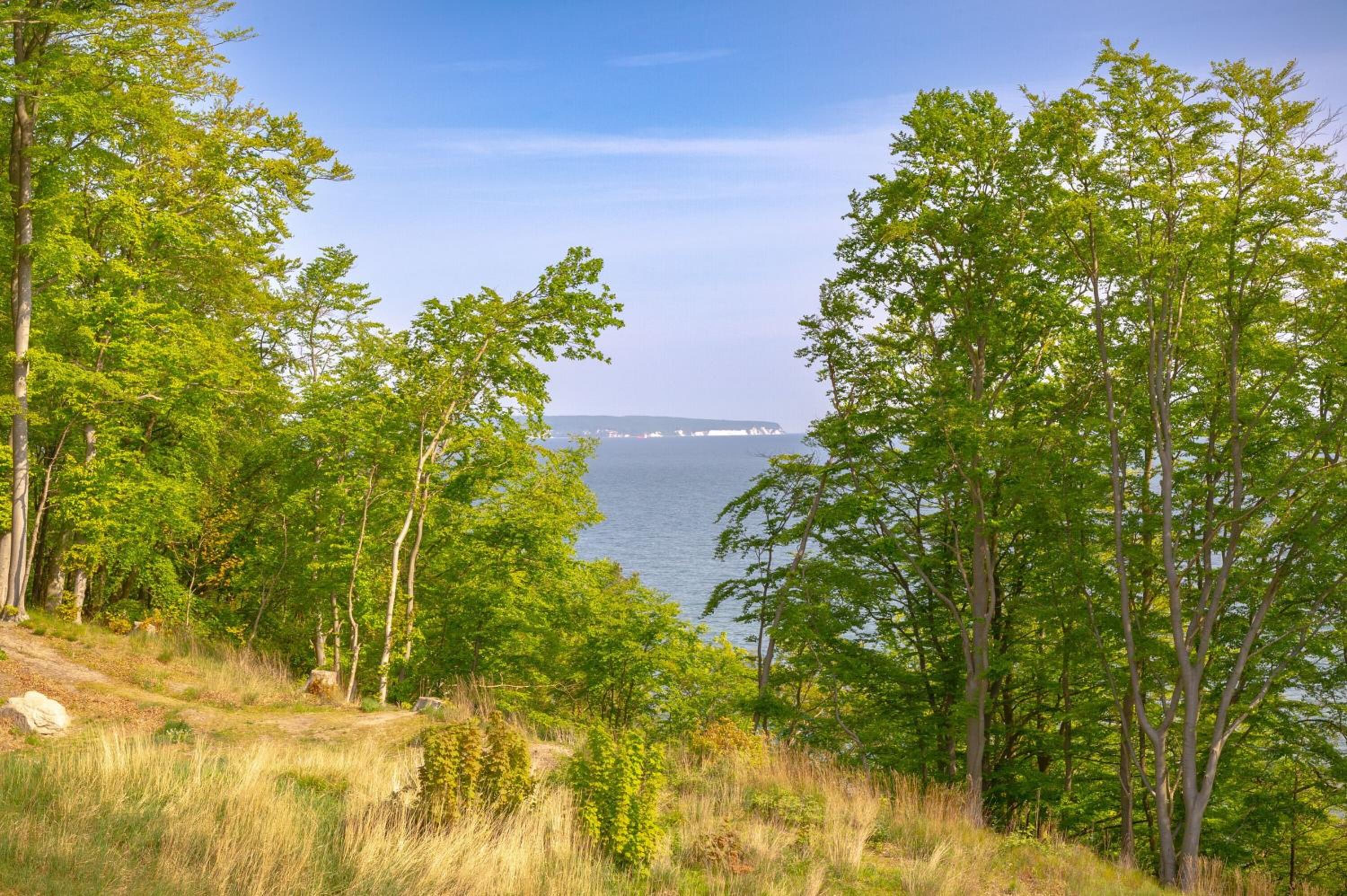 Residenz Falkenberg in Sellin - WG10 