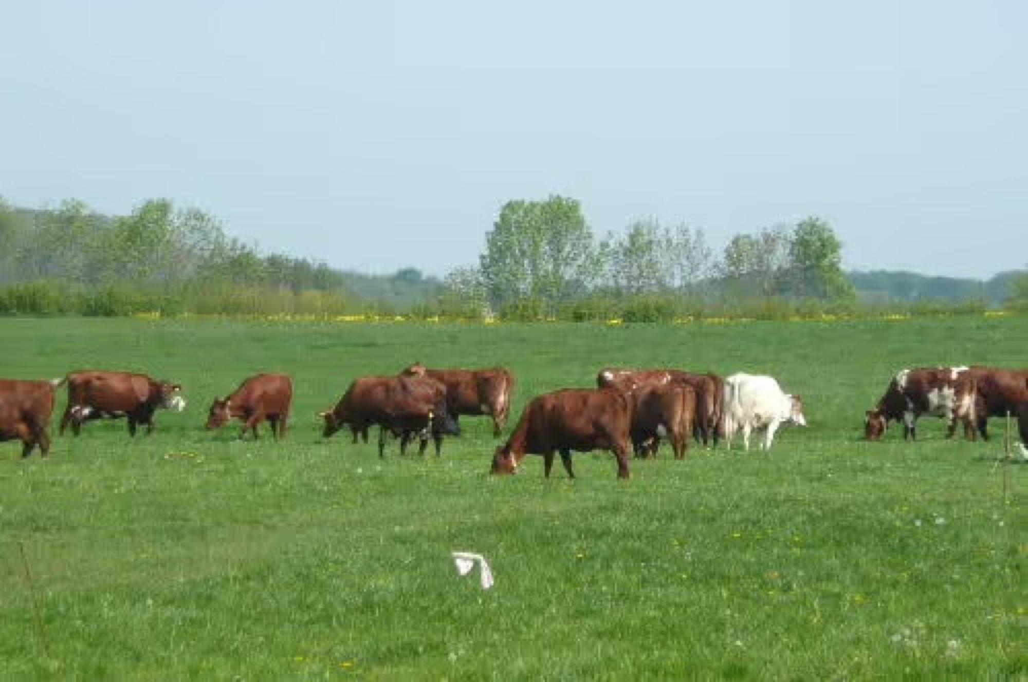 Ferienwohnung Hoffarth 1