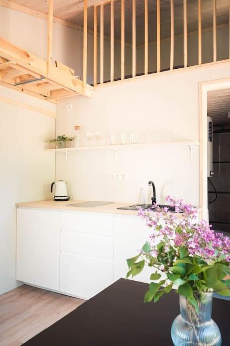 Paluküla tiny house Kuuse