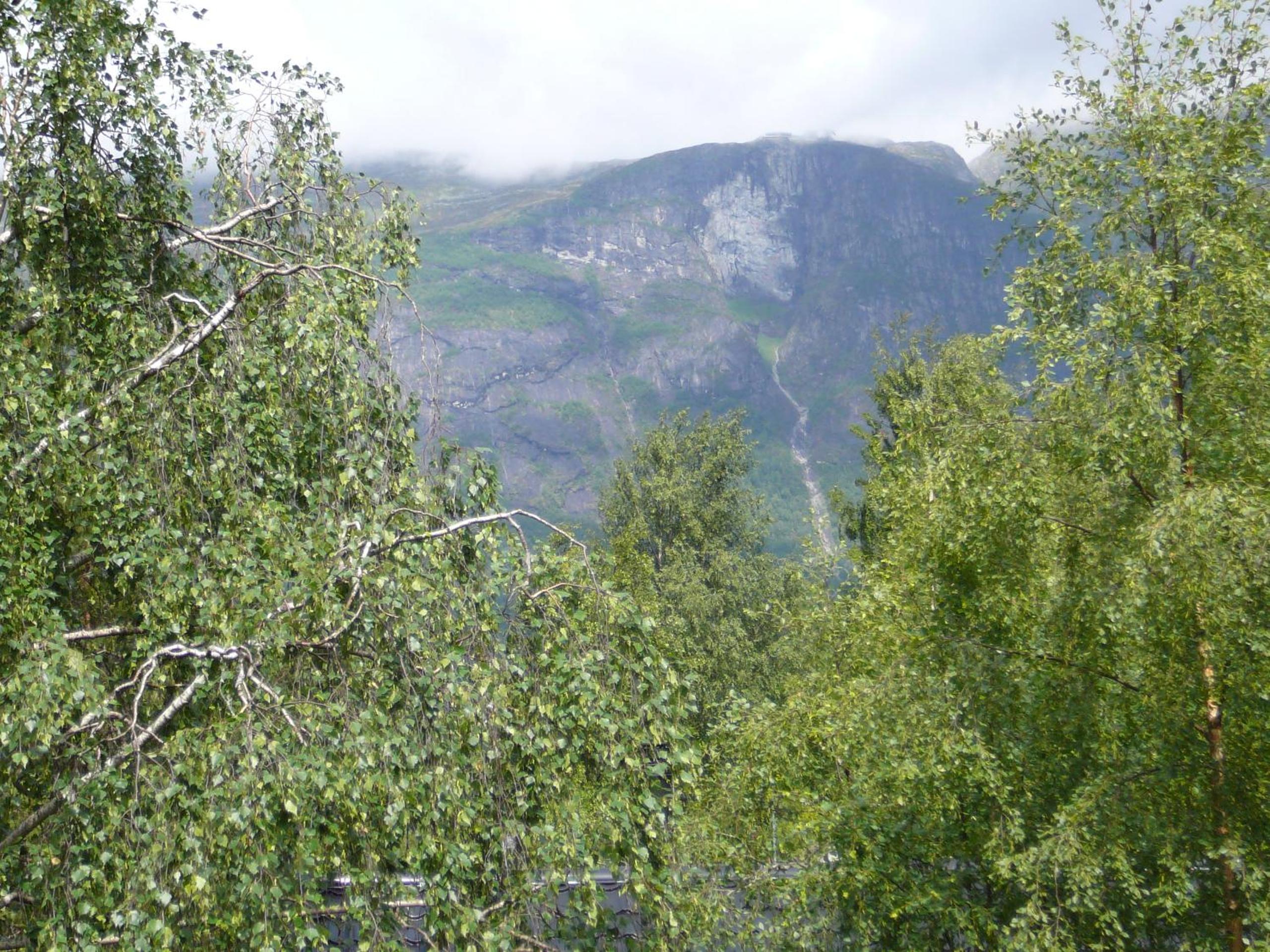 Panorama Fjord Olden