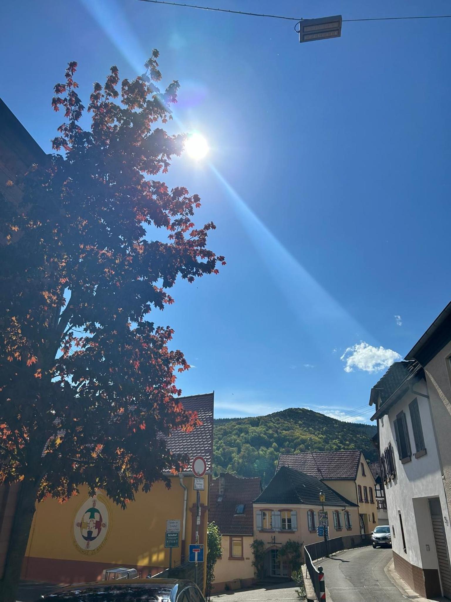 Ferienhaus Haisel Vier