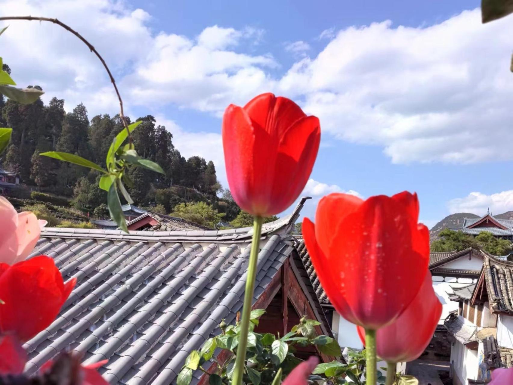 Lijiang Old Town Meiliju View Inn