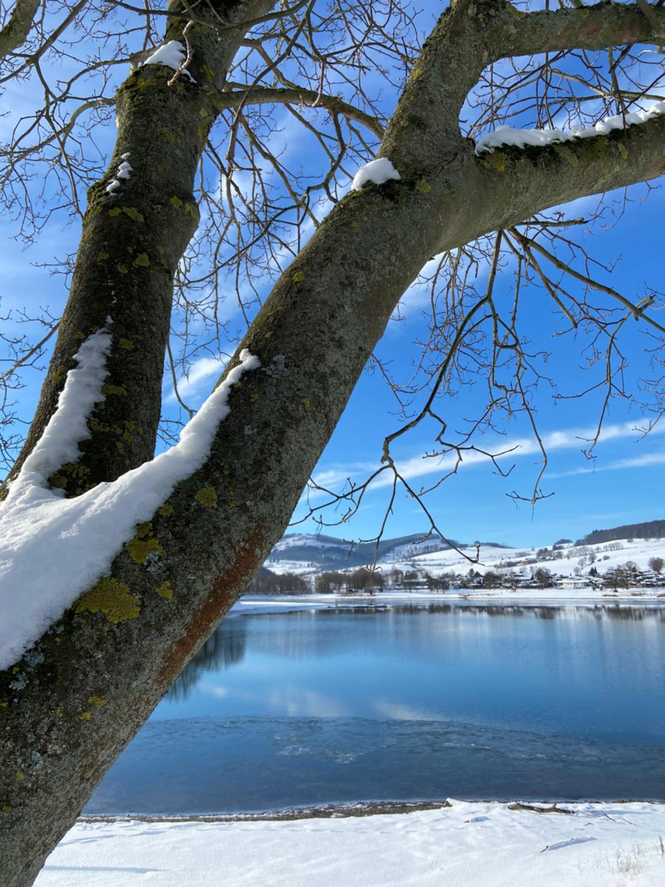 FeWo Panorama