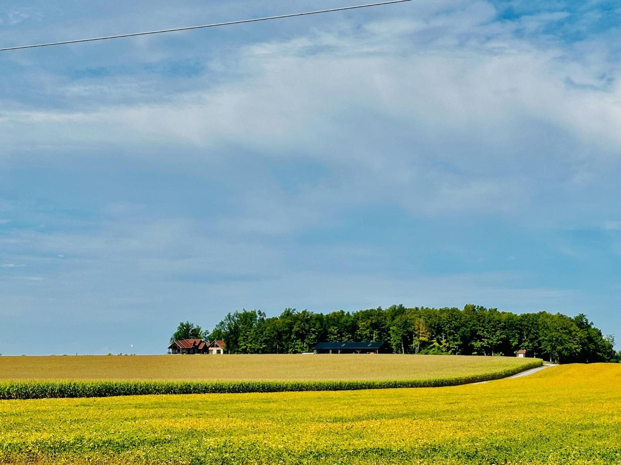 Luxury farm Stay, Alexandria