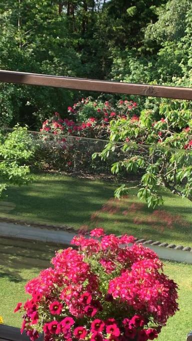 Hotel Villa A Hovas Con Molti Comfort