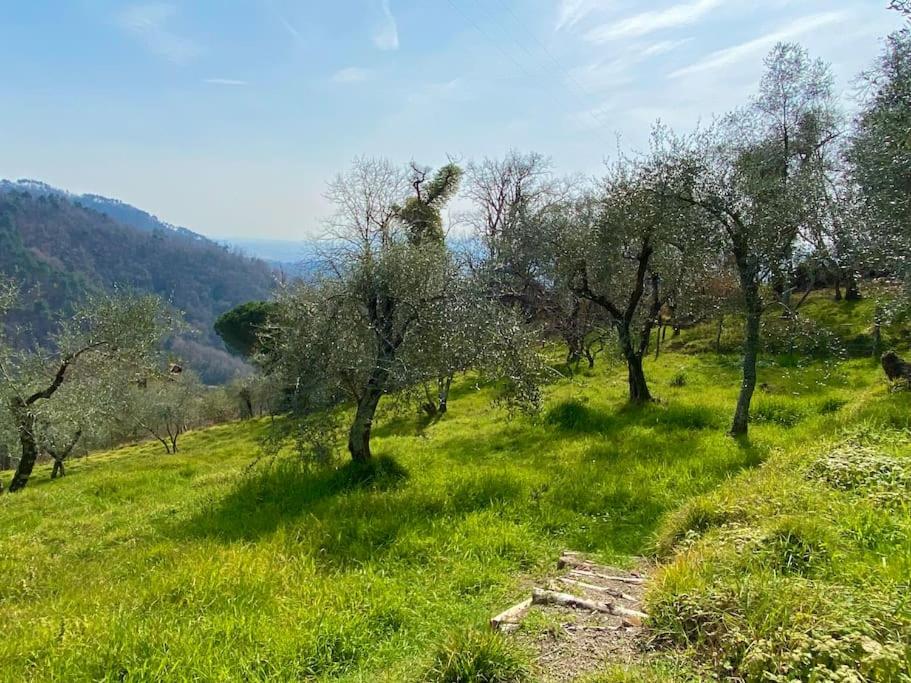 Villa di Elia