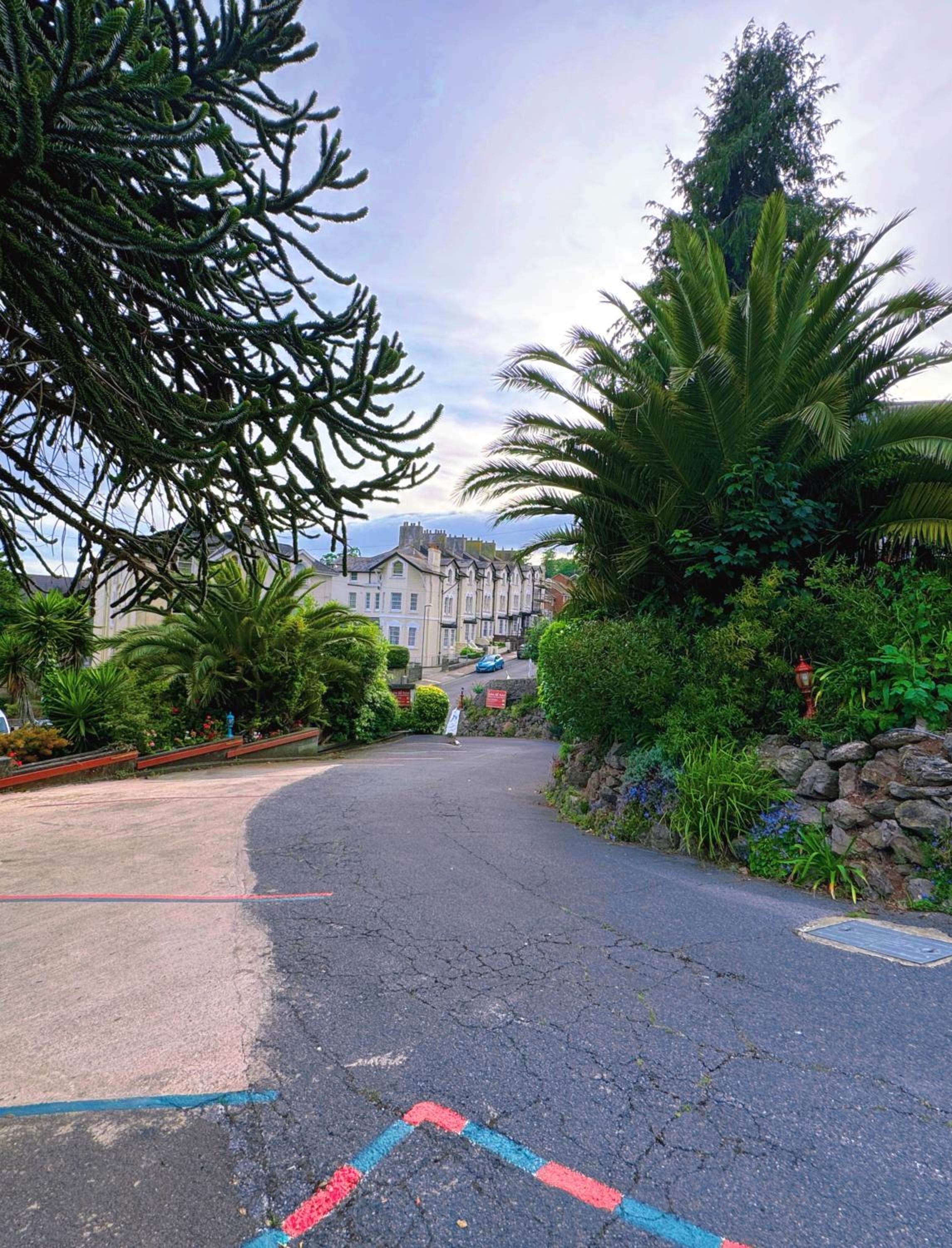 The Robin Hill