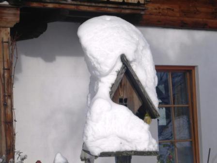 Photo 30