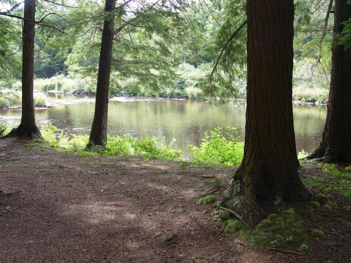 Riverside Cabin