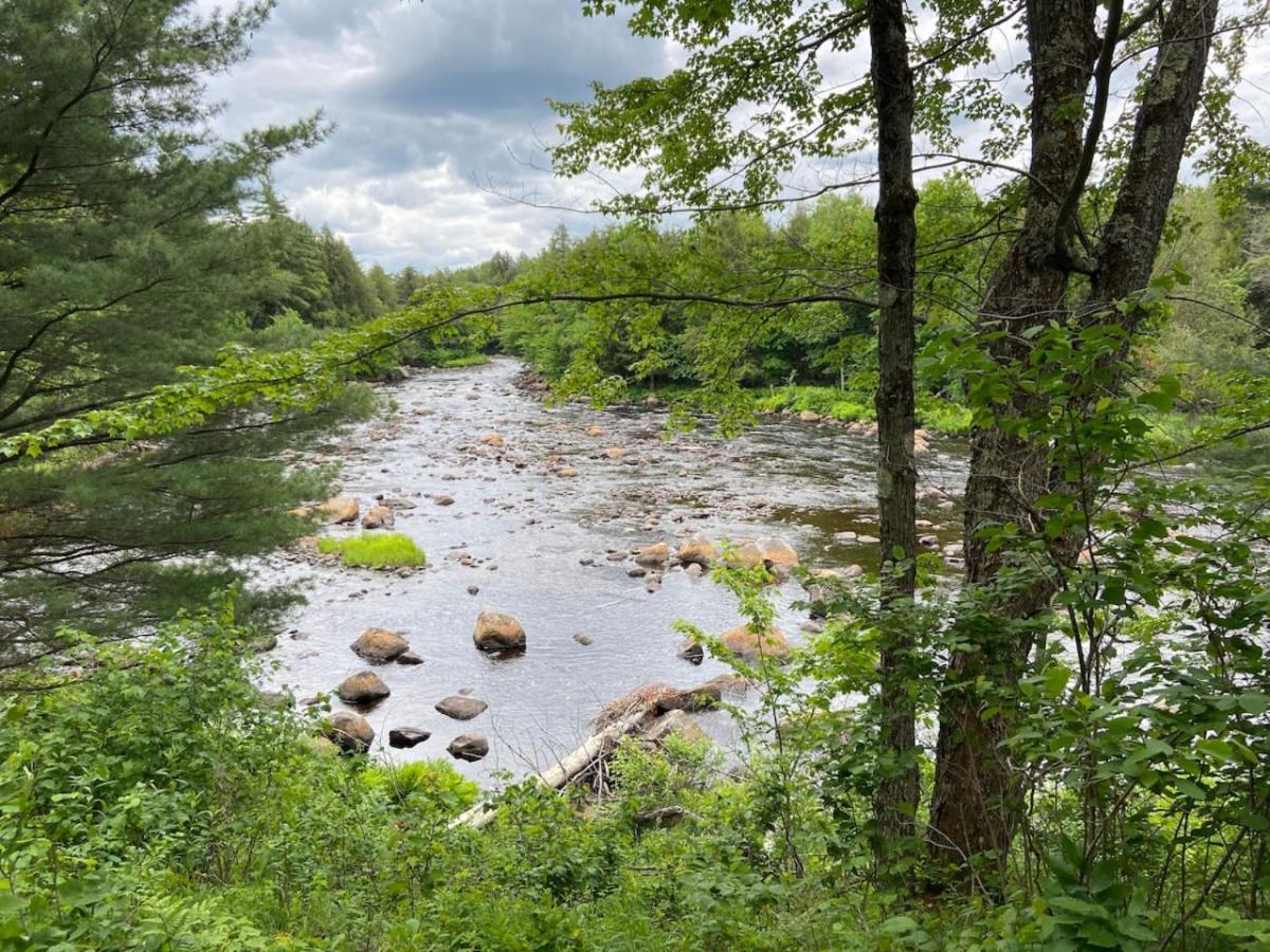 Secluded River Overlook Cabin on 160 acres. view 3