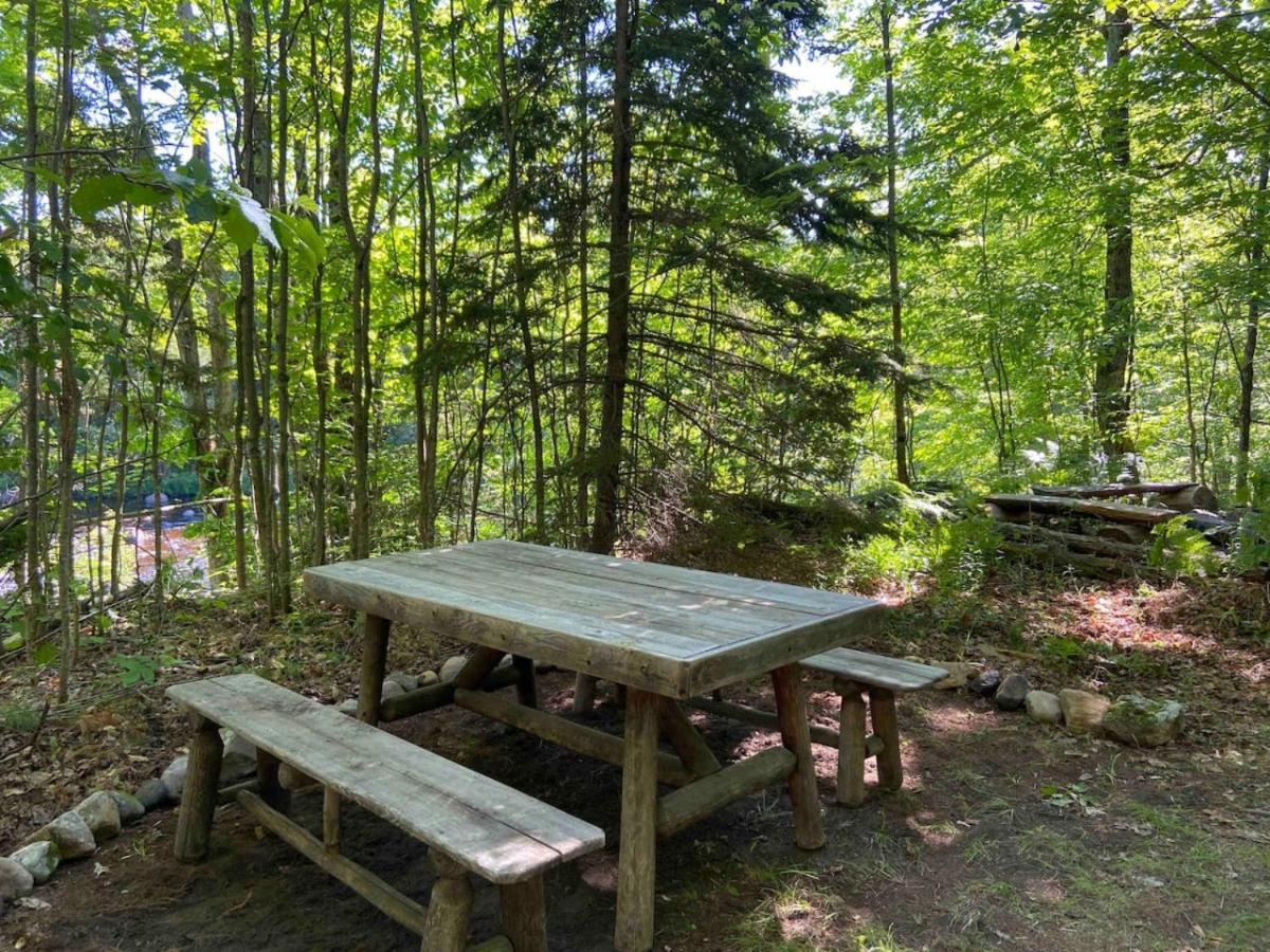 Secluded River Overlook Cabin on 160 acres. view 4