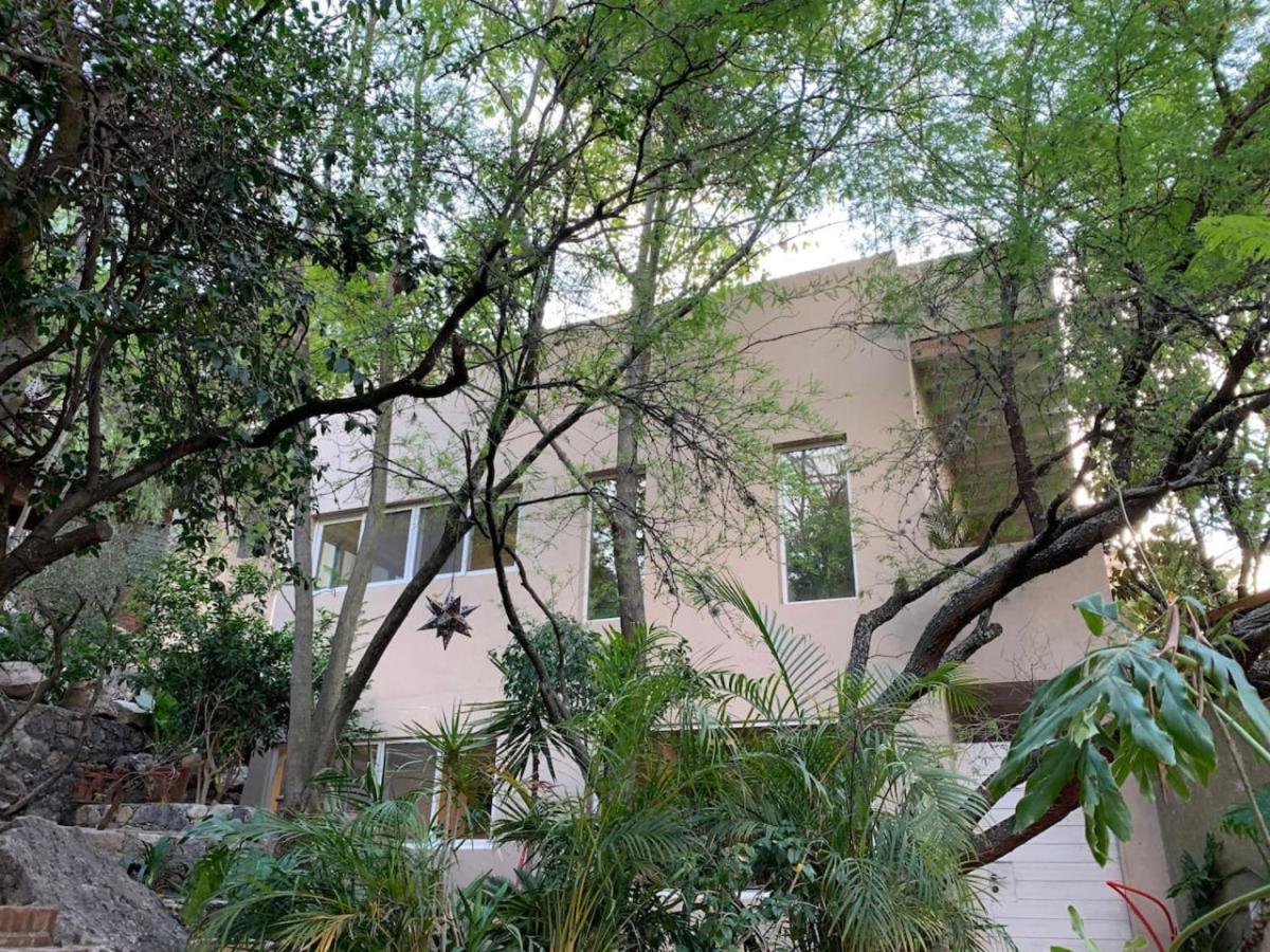 Modern Loft Downtown and surrounded by nature view 4
