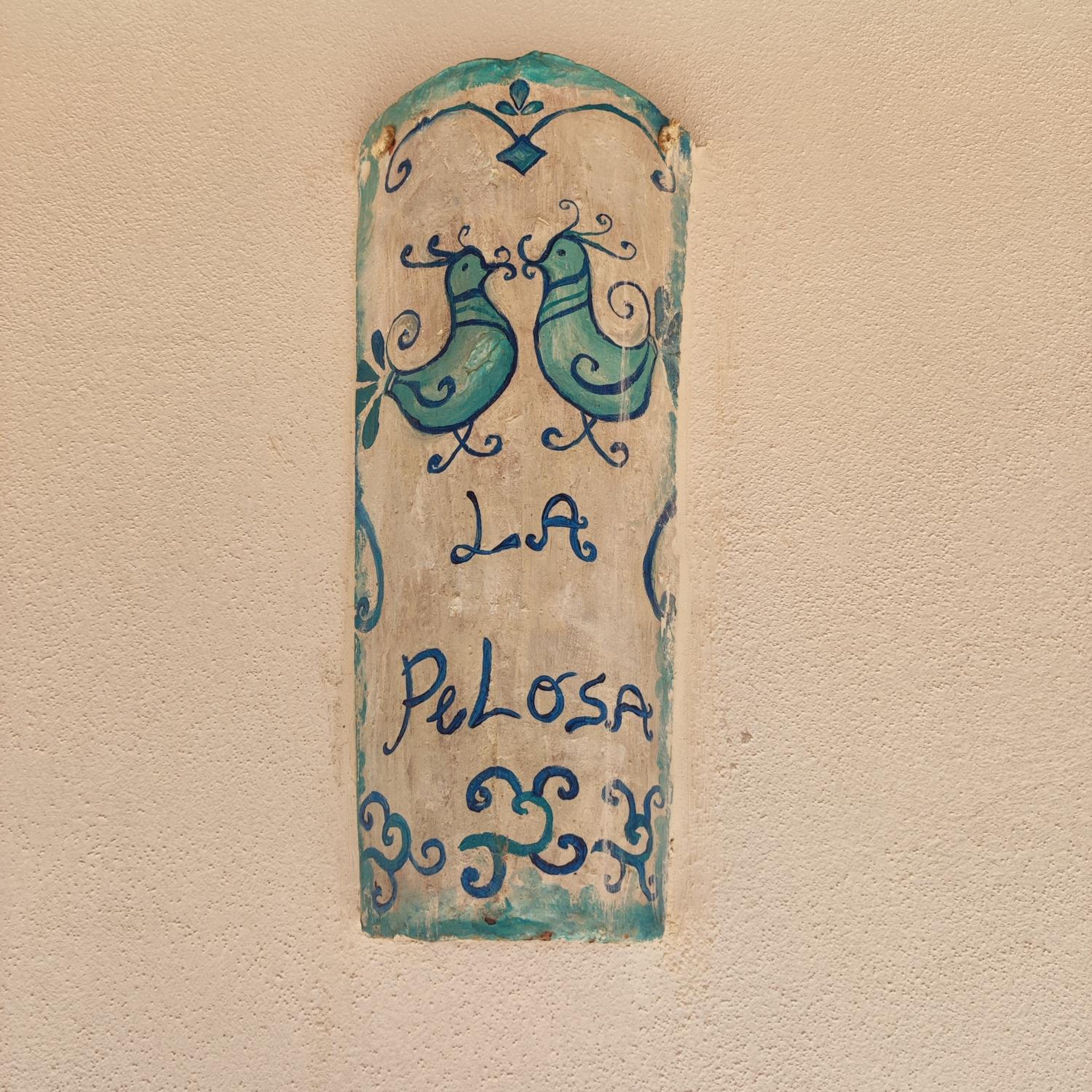 Photo 47