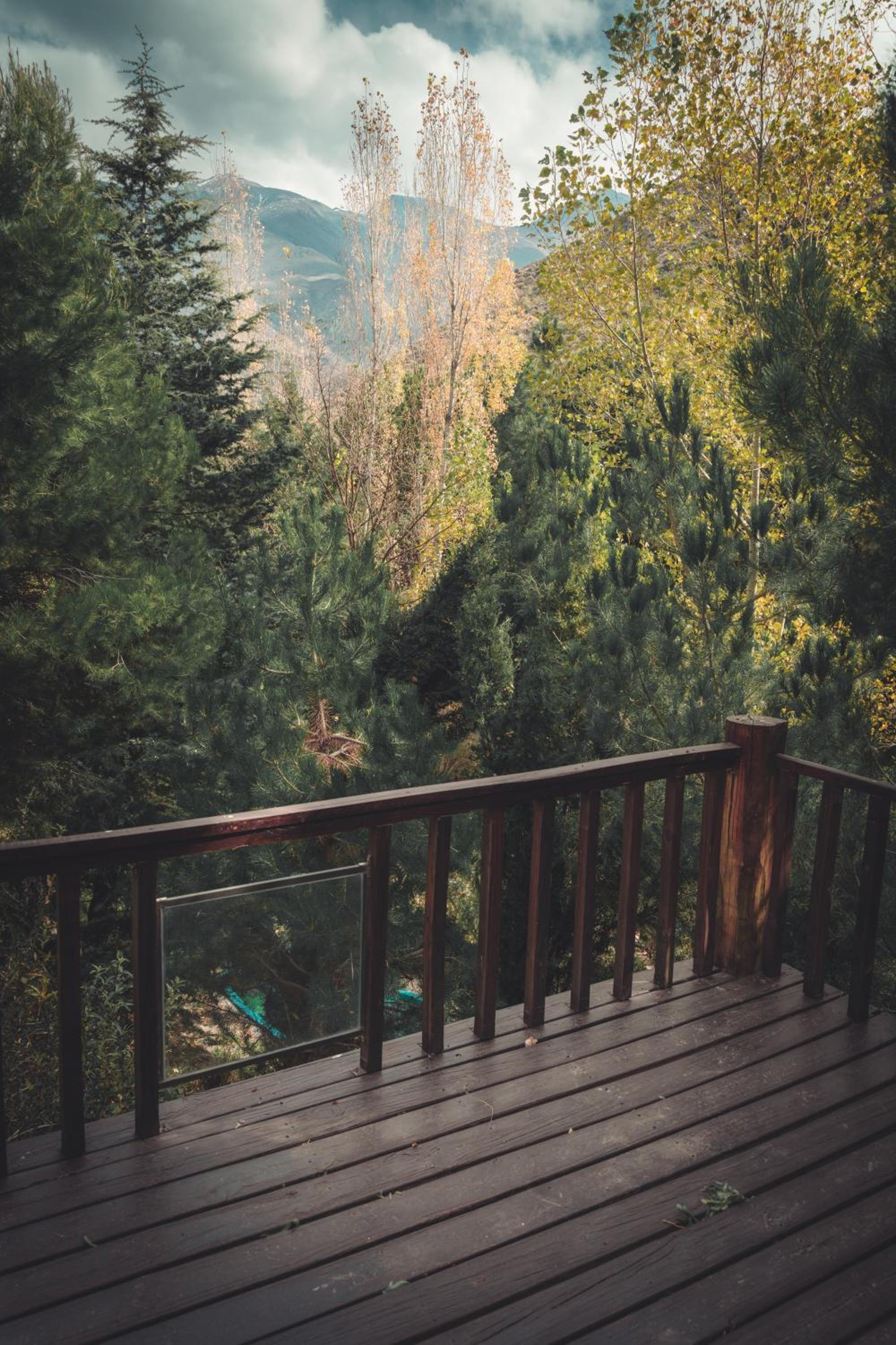 Shasta Mountain Retreat