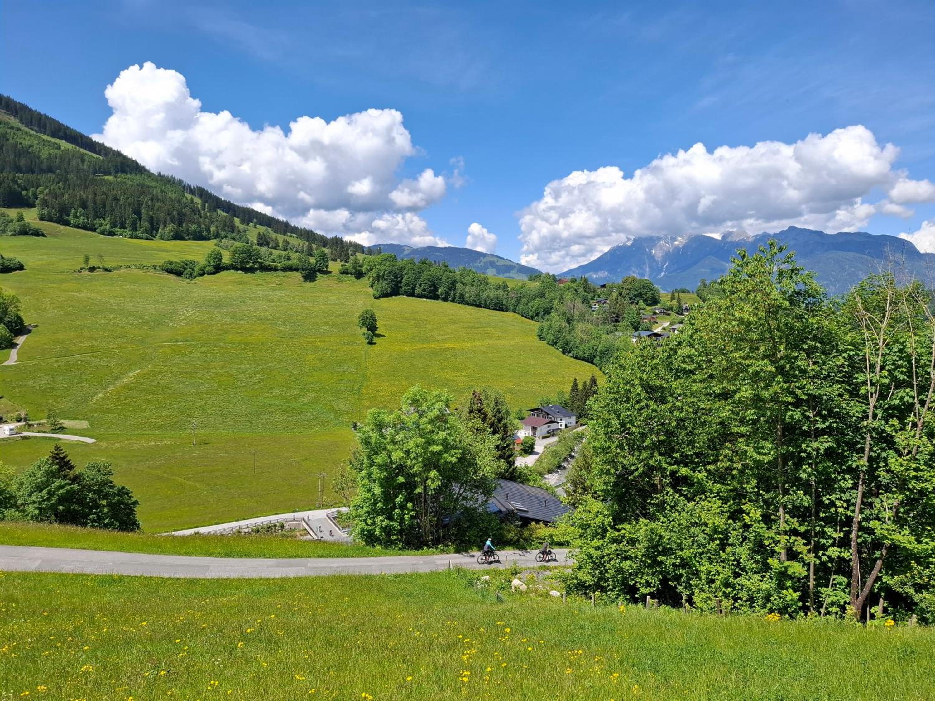 Sonnenheim