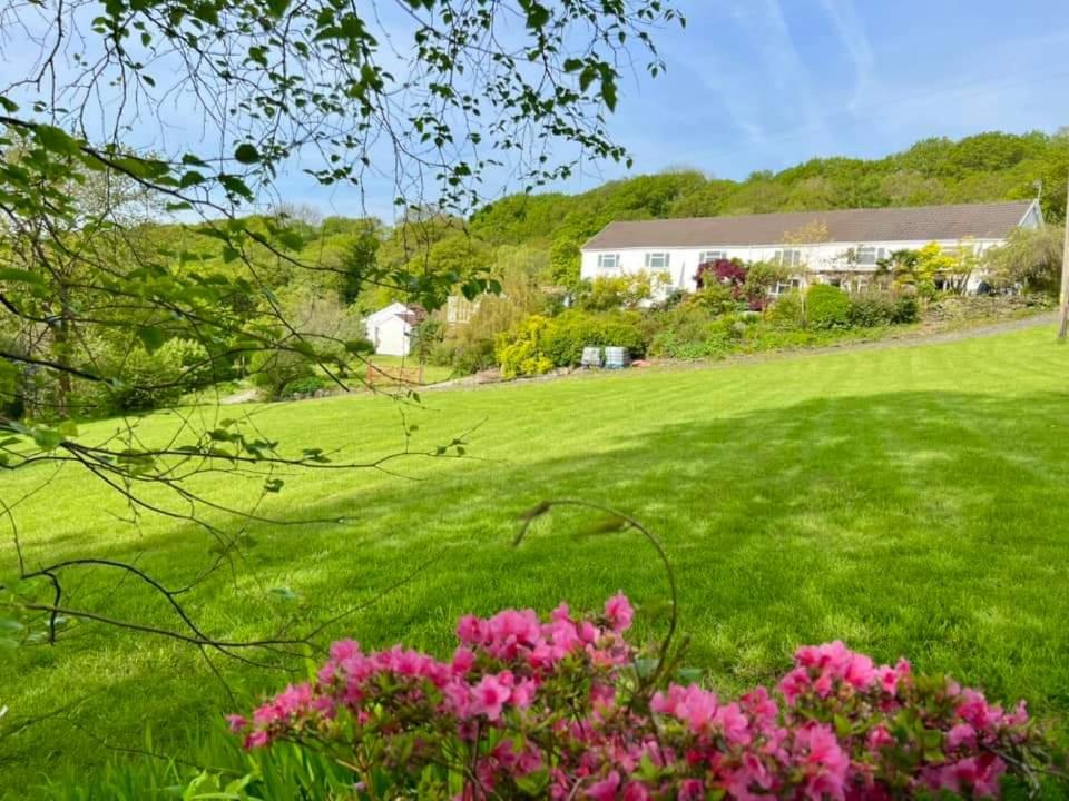 Cwmbach Guest House view 4