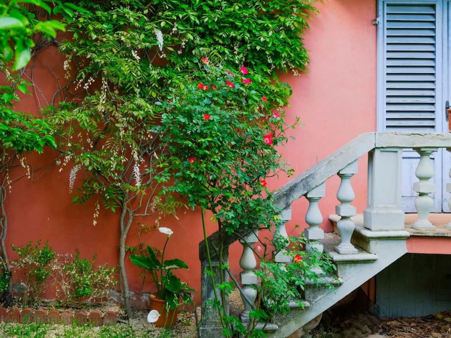 Villa il Rossignolo photo 4