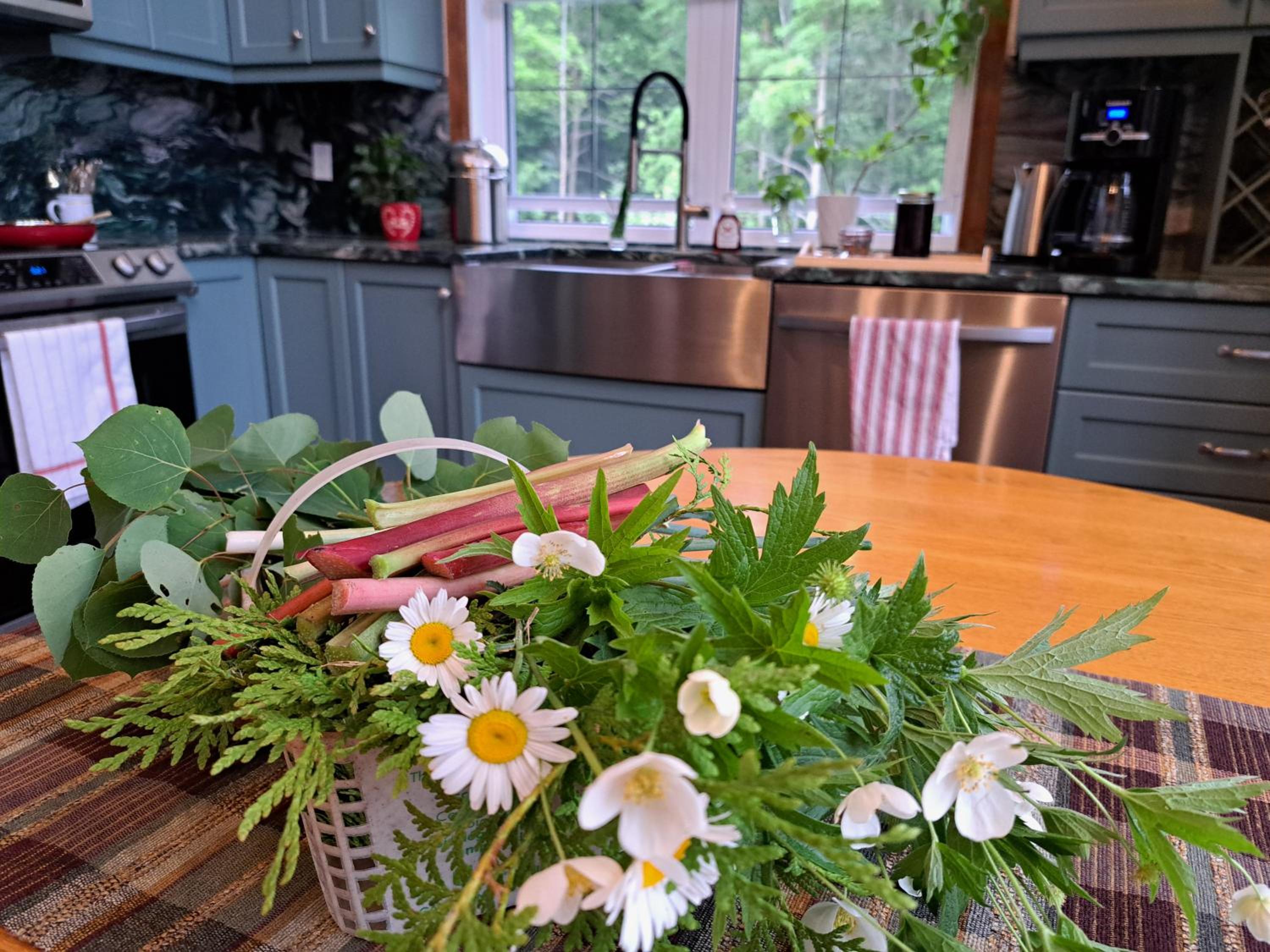 Luxury farm Stay, Alexandria