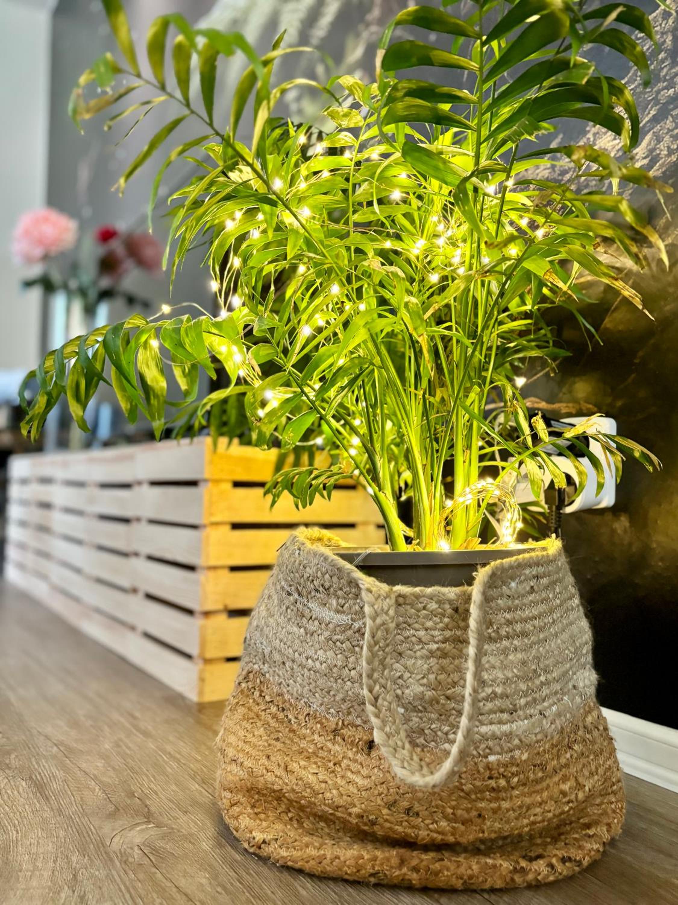 Remote Work Friendly Zahradní apartmán u jezera