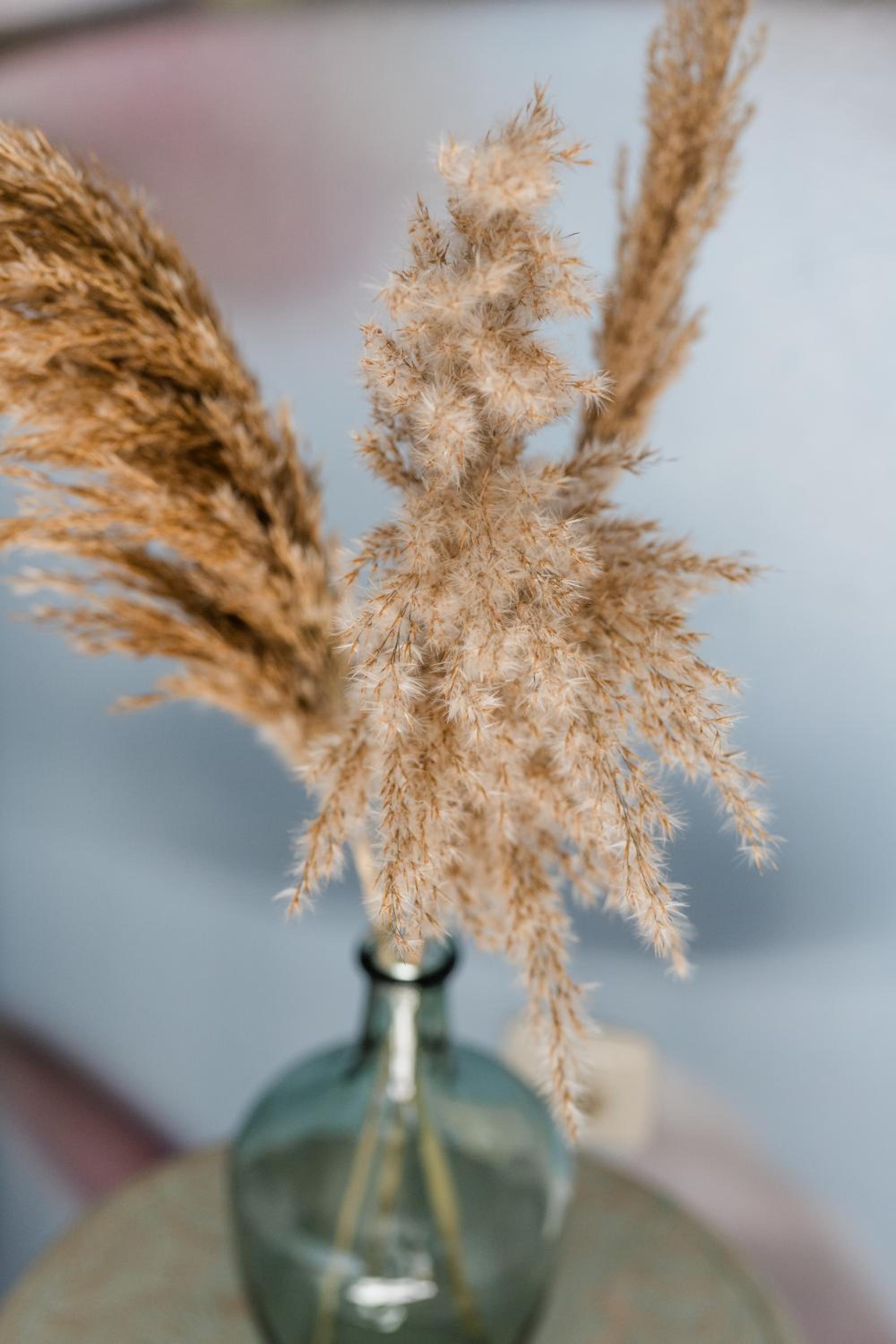 Appartements Flor