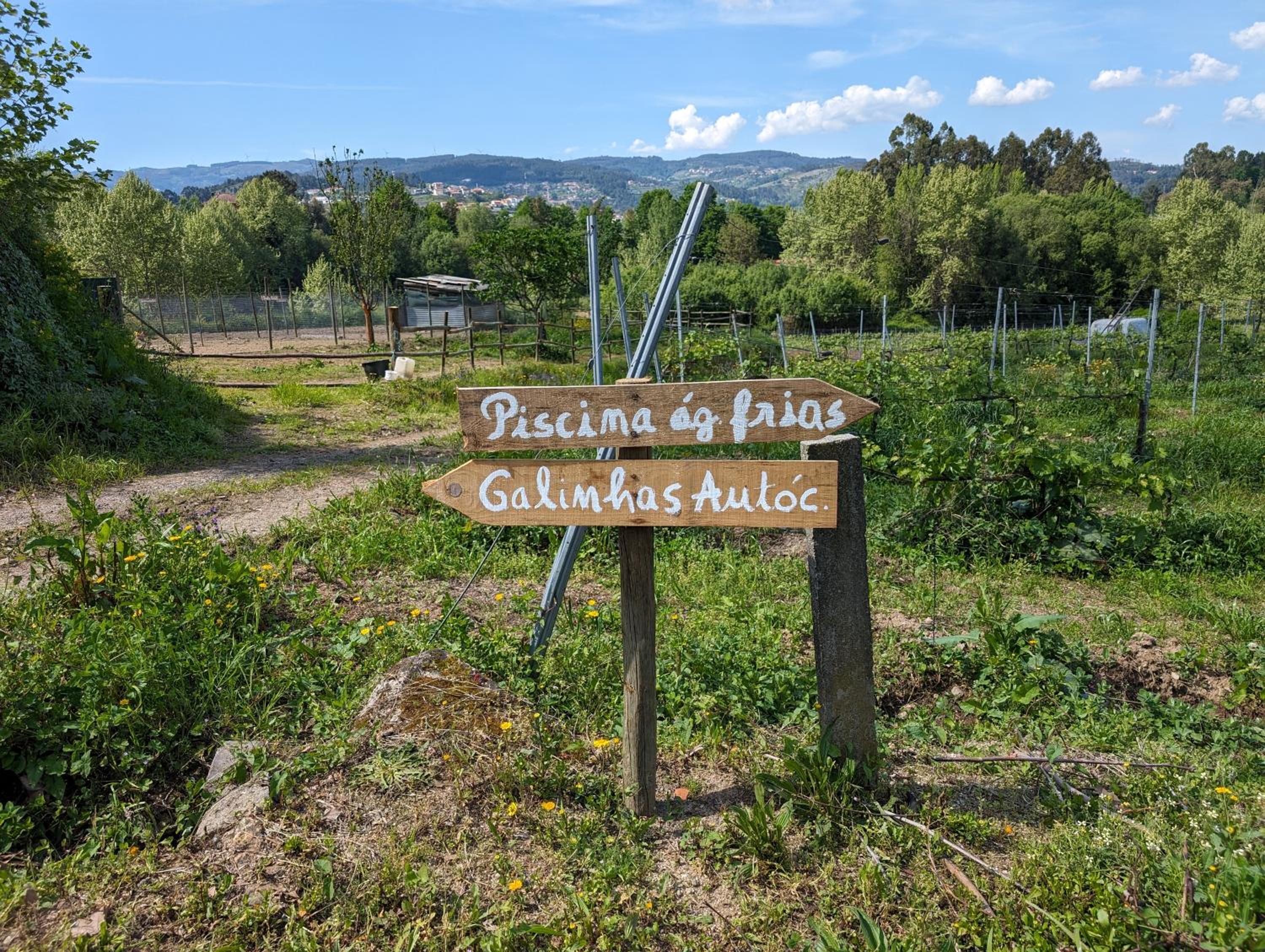 Quinta da Lage Agroturismo e Enoturismo view 3
